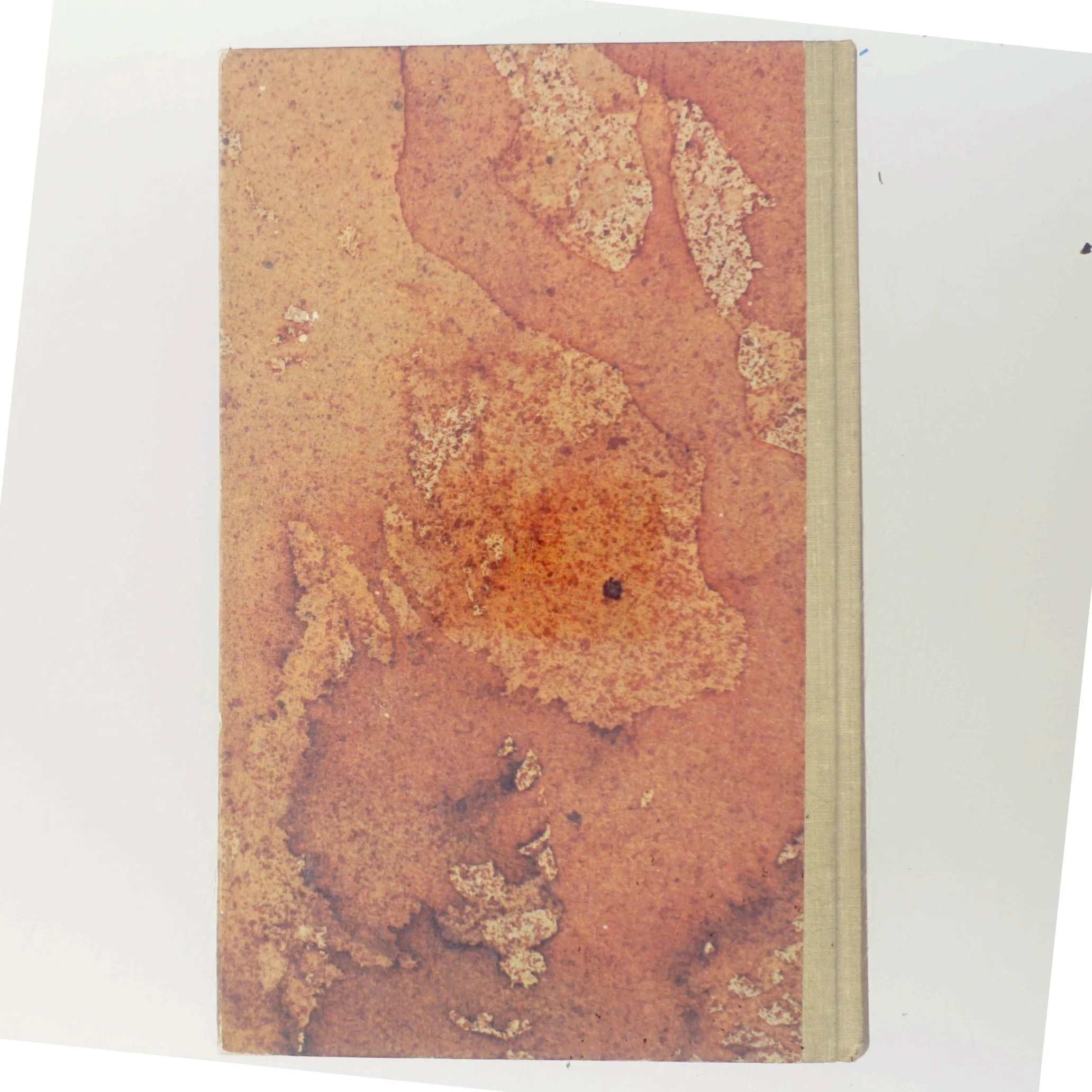 Bog med flot indbinding - Shardik af Richard Adams (Bog)