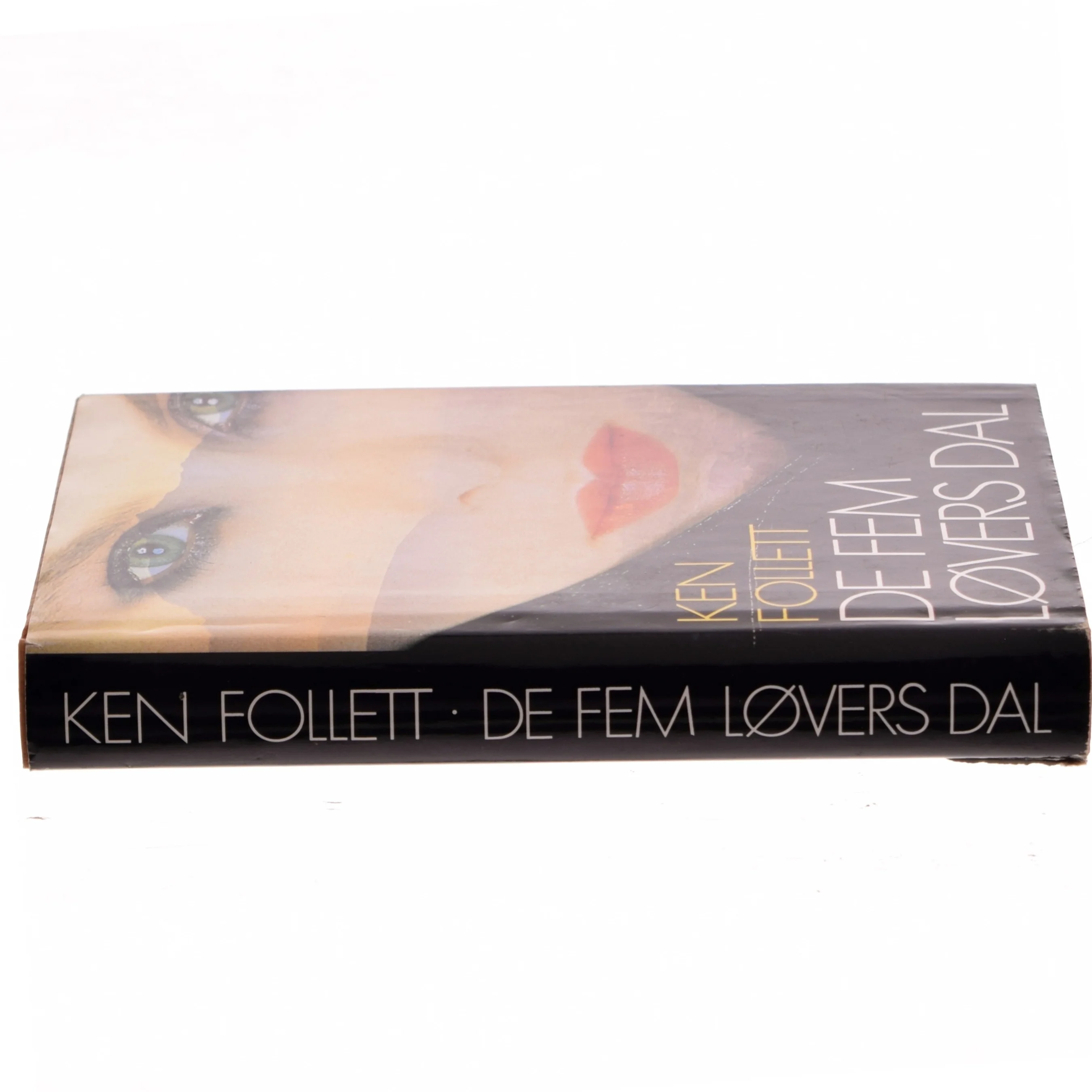 De Fem Løvers Dal af Ken Follett (Bog)