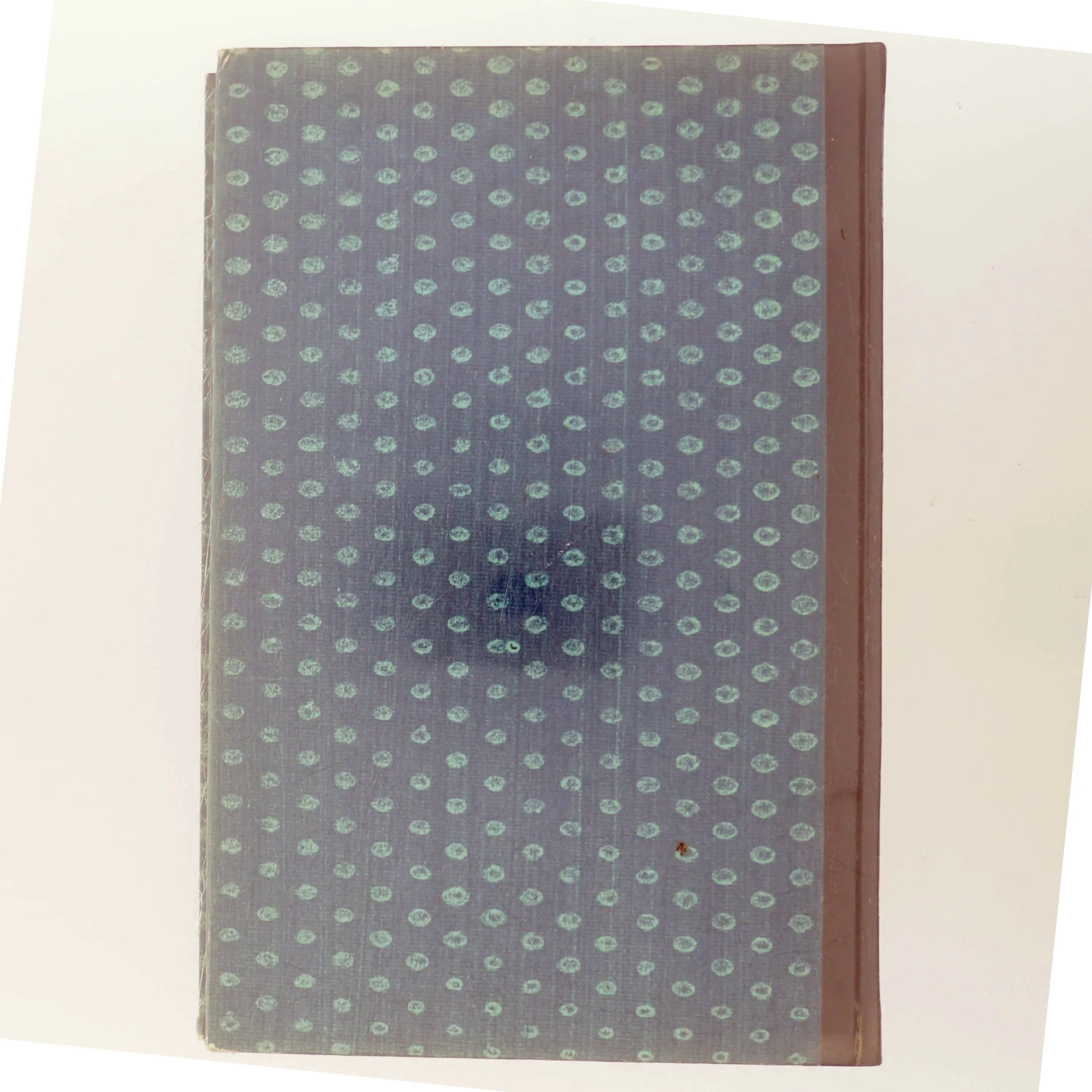 Antik bog med flot indbinding. Tigerens Øje af Walter Serner (Bog)