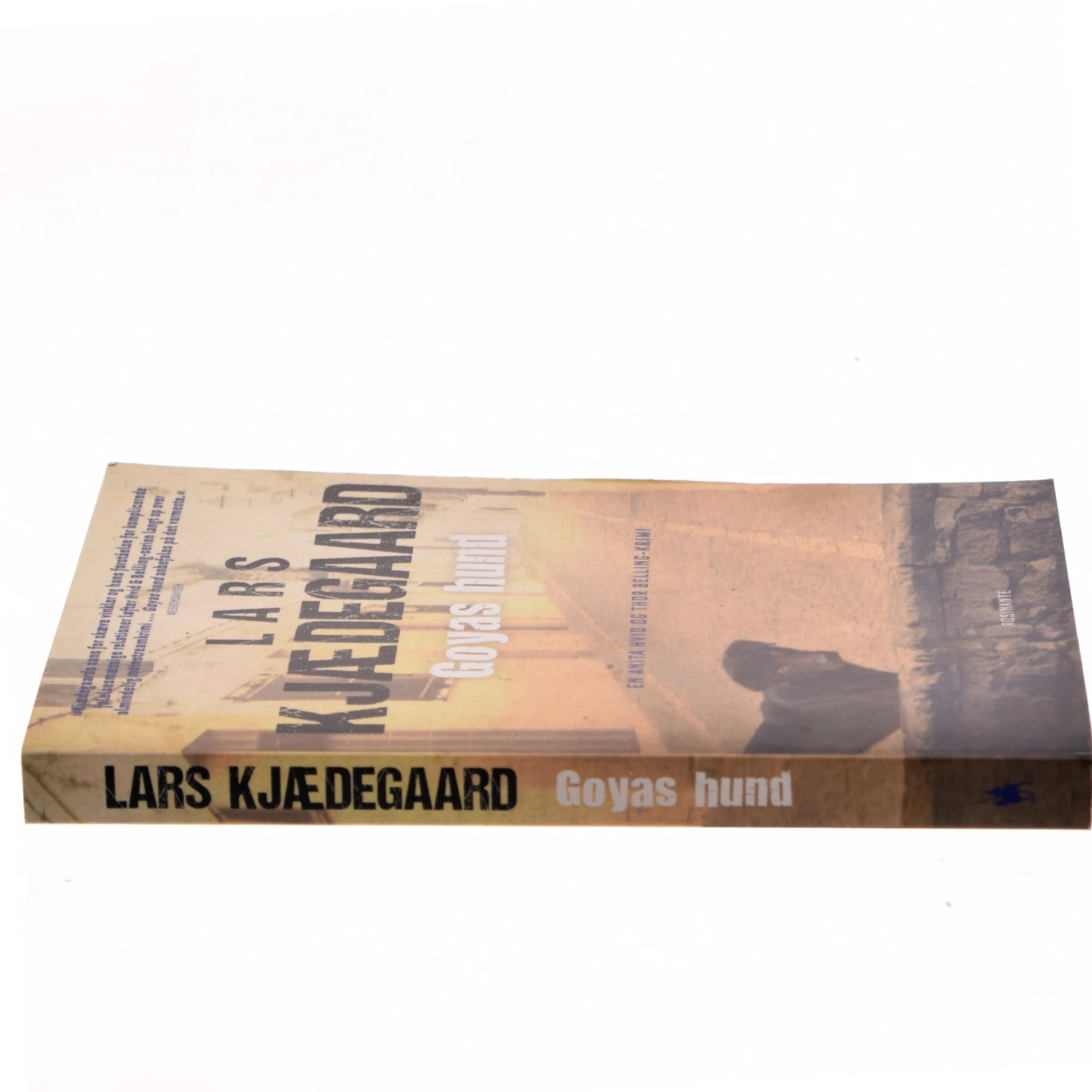 Goyas hund af Lars Kjædegaard (Bog)