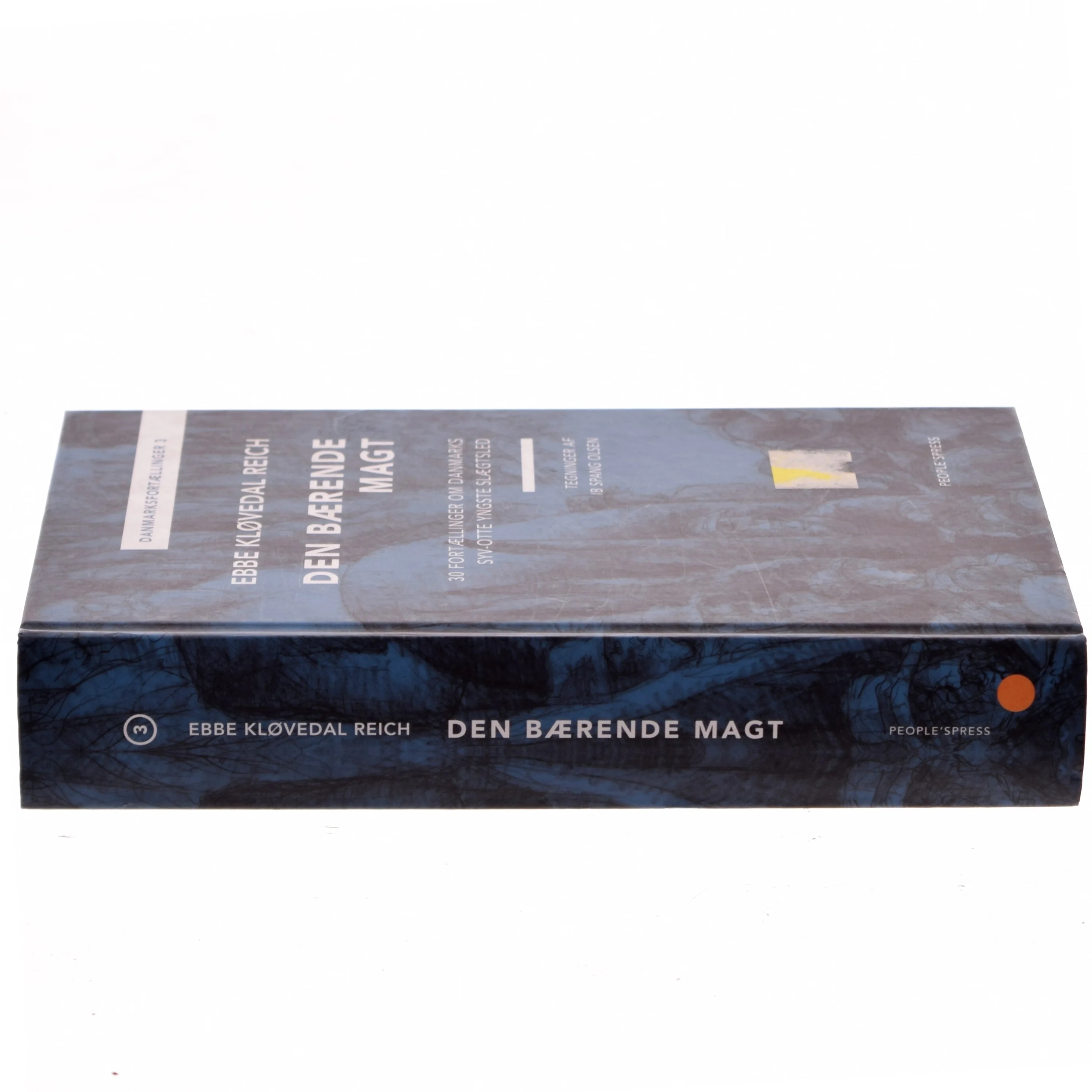 Den bærende magt : 30 fortællinger om Danmarks syv-otte yngste slægtled af Ebbe Kløvedal Reich (Bog)