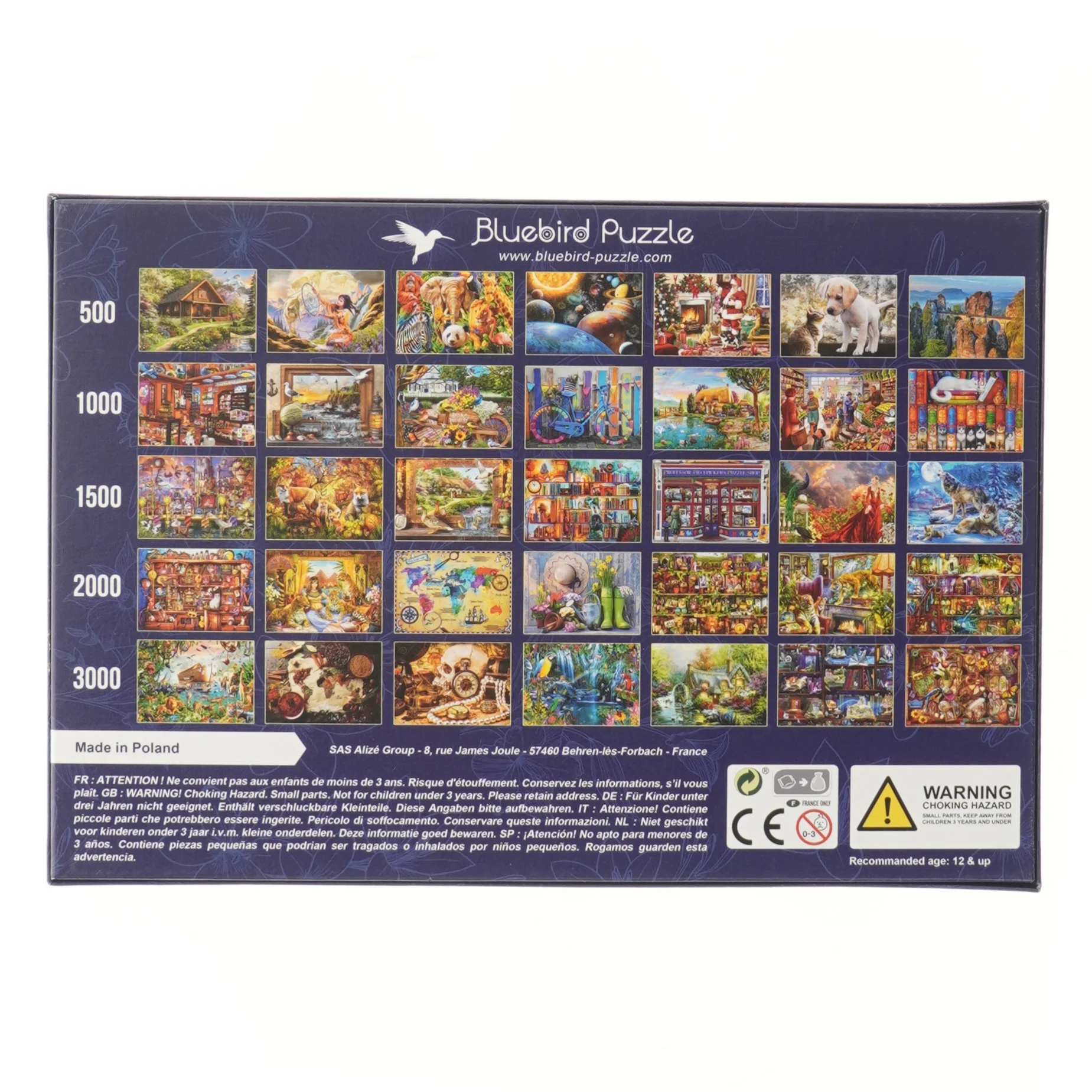 Bluebird Puslespil - Unicorn Dream fra Bluebird Puzzle (str. 1000 brikker 68,3x48 cm)