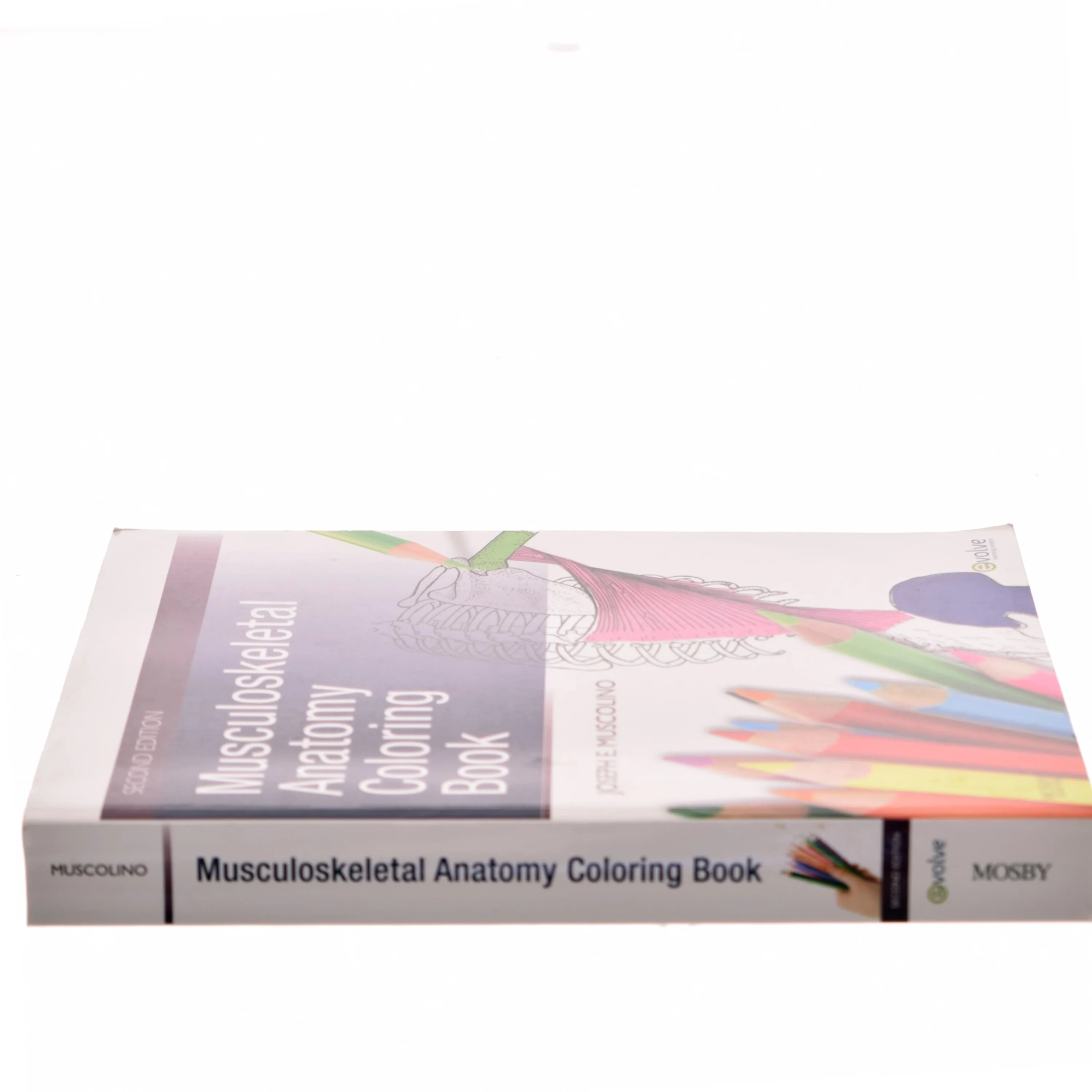 Musculoskeletal Anatomy Coloring Book af Joseph E. Muscolino (Bog)