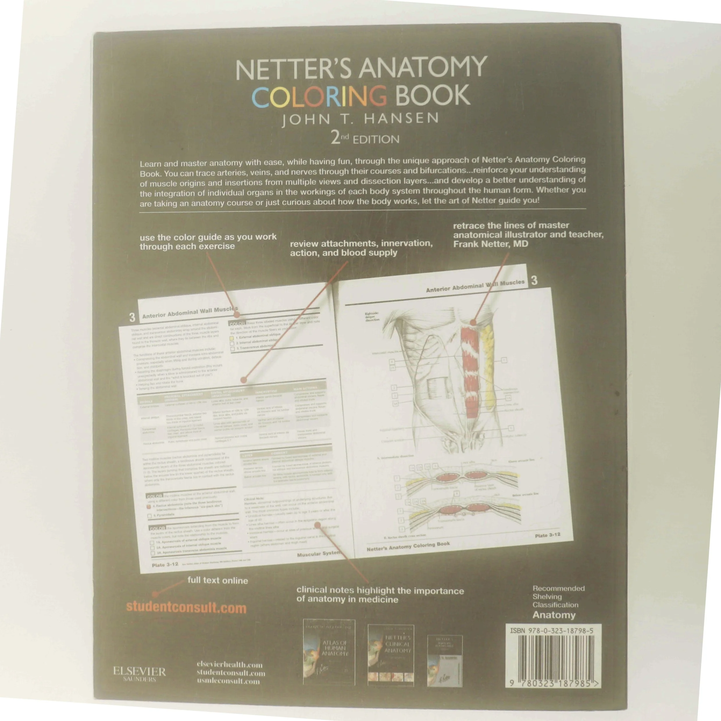 Netter's Anatomy Coloring Book af John T. Hansen (Bog)