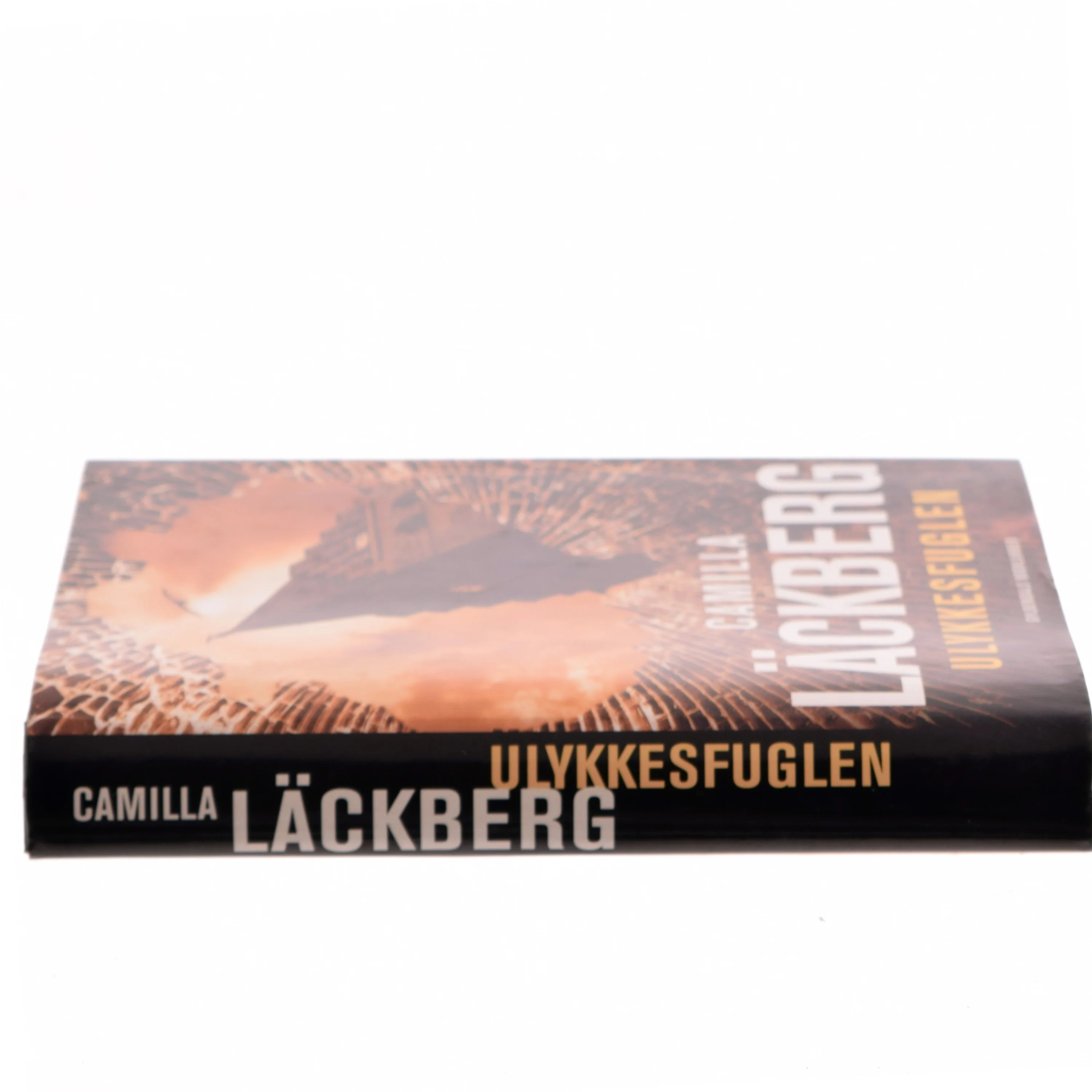 Ulykkesfuglen : kriminalroman af Camilla Läckberg (Bog)