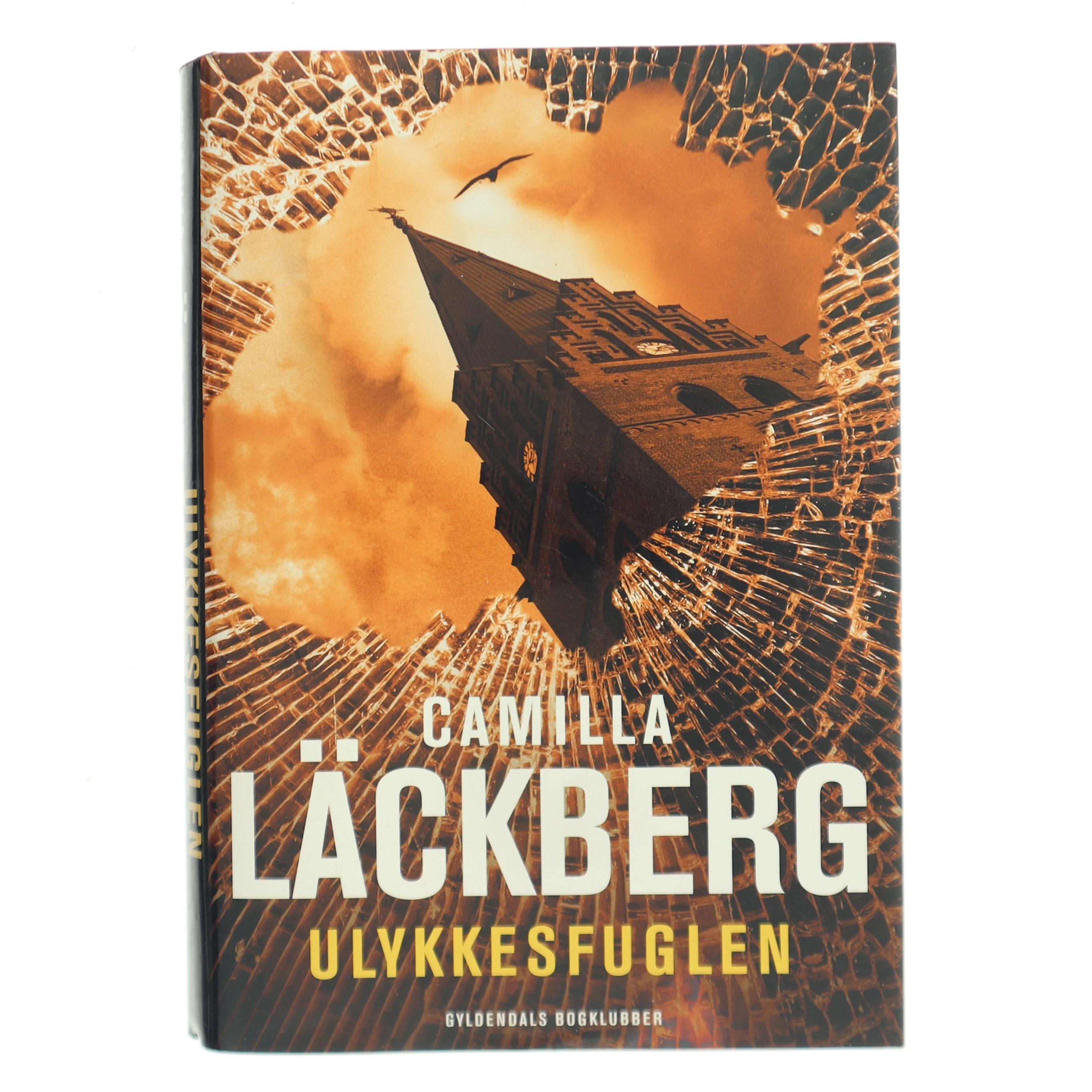 Ulykkesfuglen : kriminalroman af Camilla Läckberg (Bog)