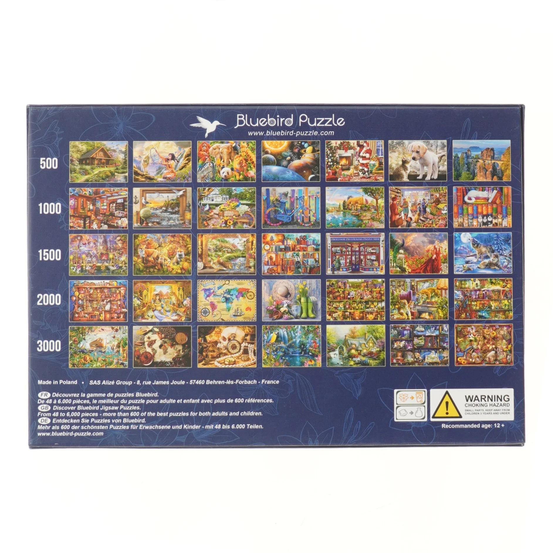 Bluebird puslespil 1000 brikker fra Bluebird Puzzle (str. 1000 brikker 68,3x48 cm)