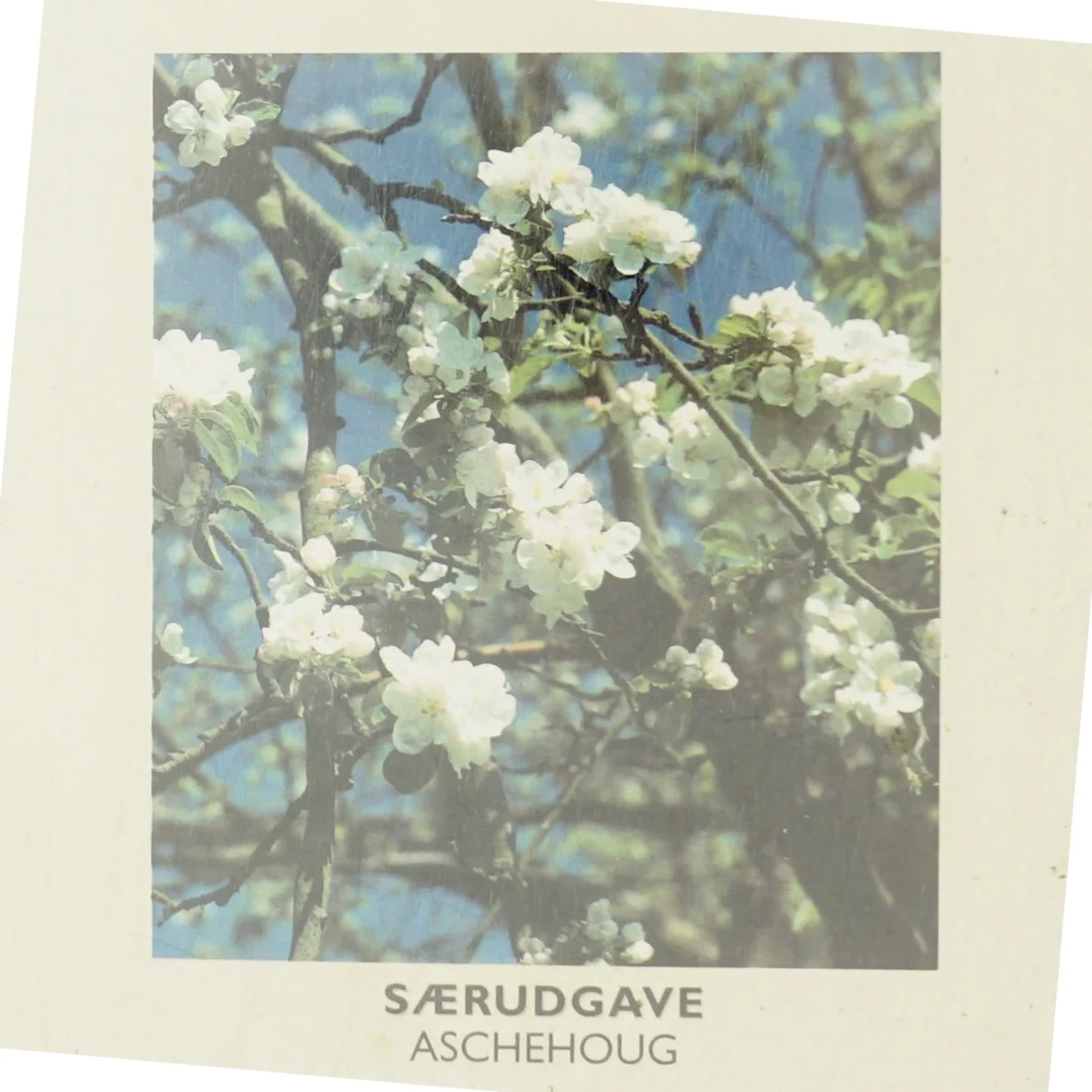 Den Lille Havebog af Martin Stangl (Bog)