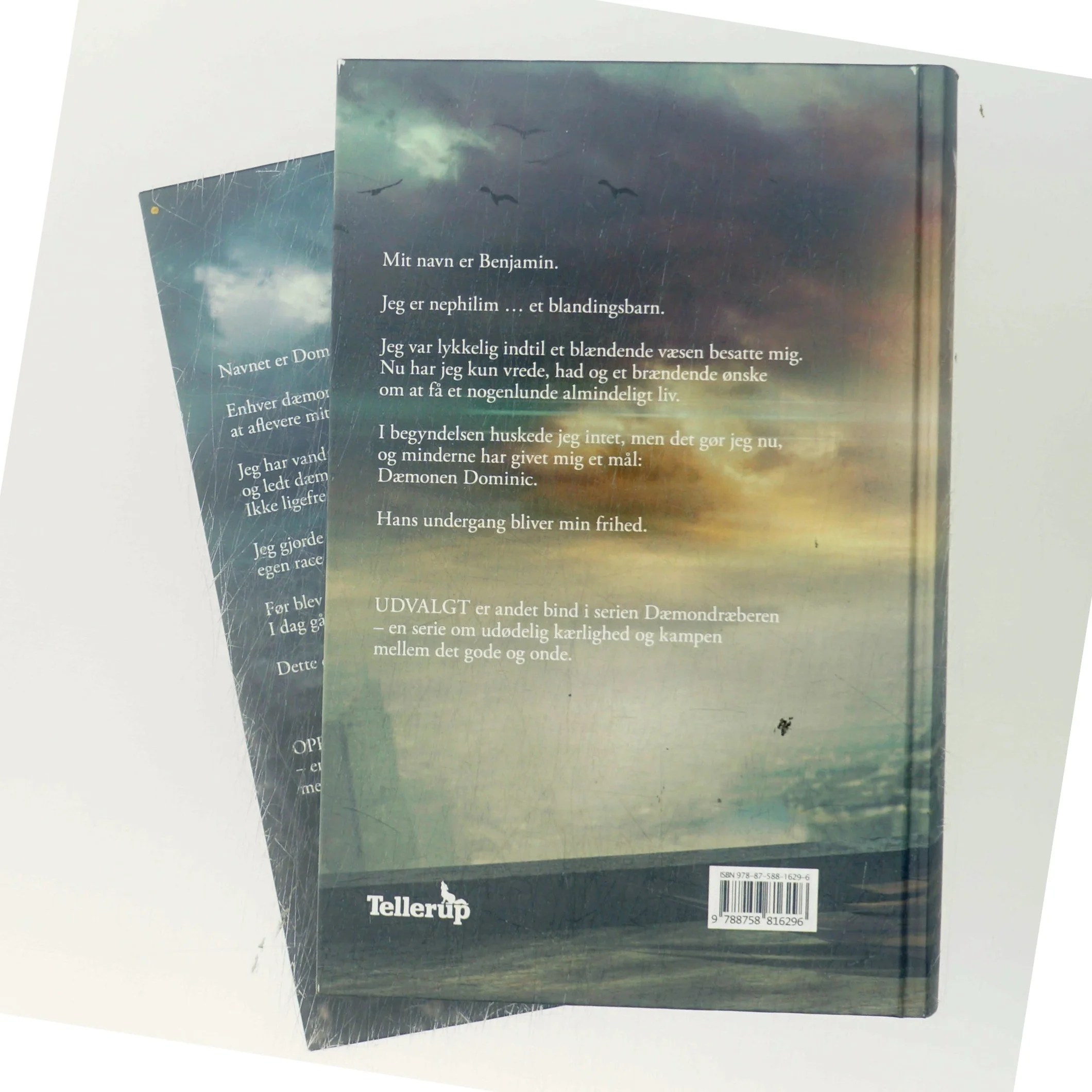 Oprører af Louise Haiberg (Bog)