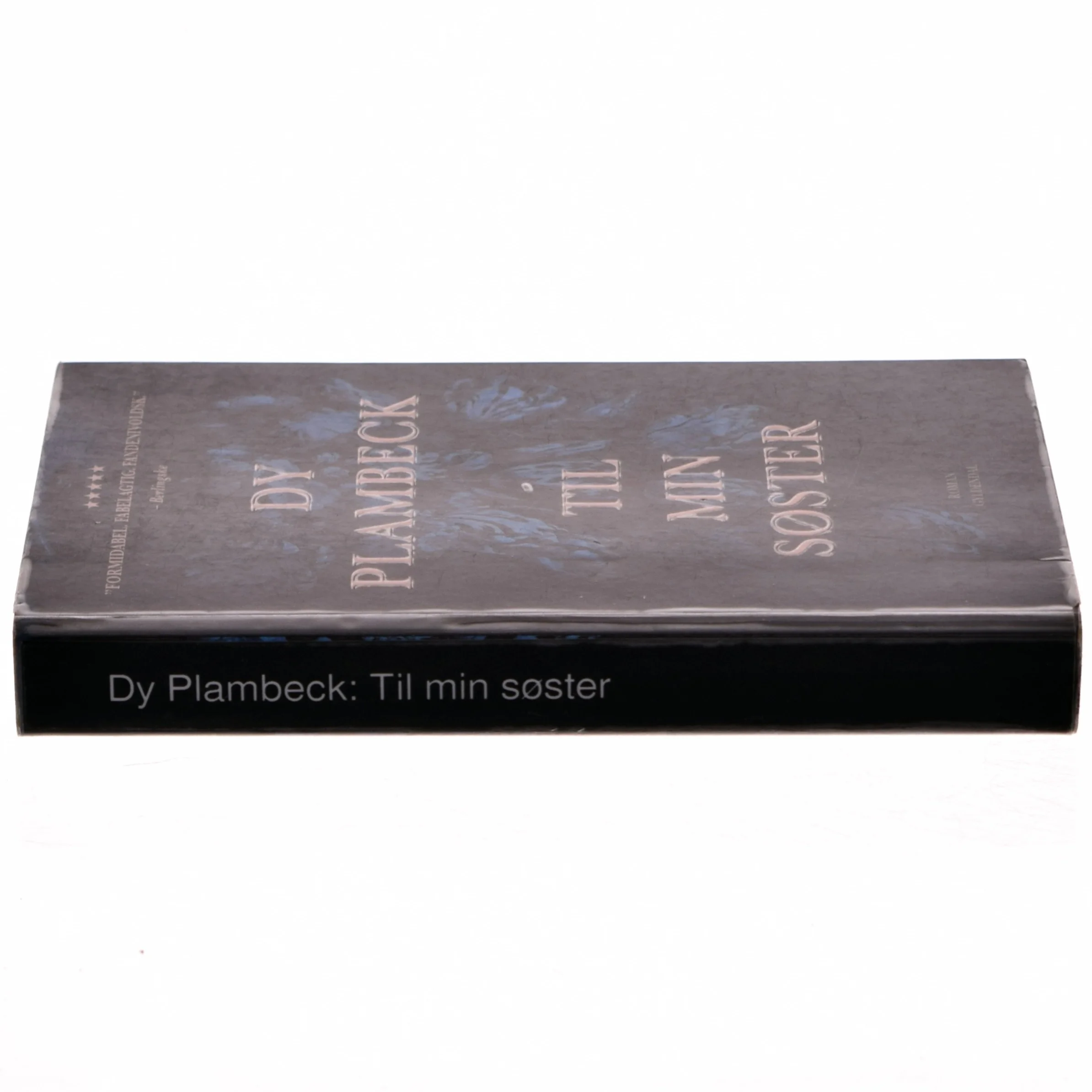 Til min søster af Dy Plambeck (Bog) fra Gyldendal