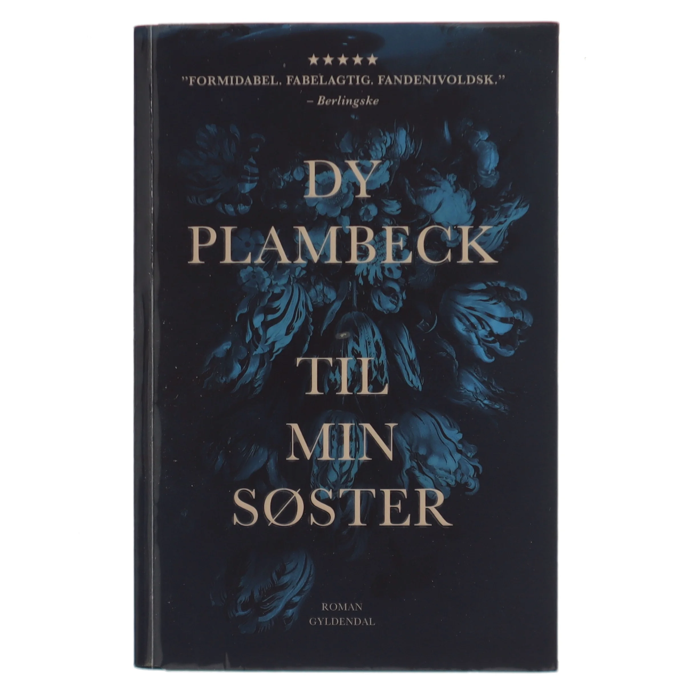 Til min søster af Dy Plambeck (Bog) fra Gyldendal