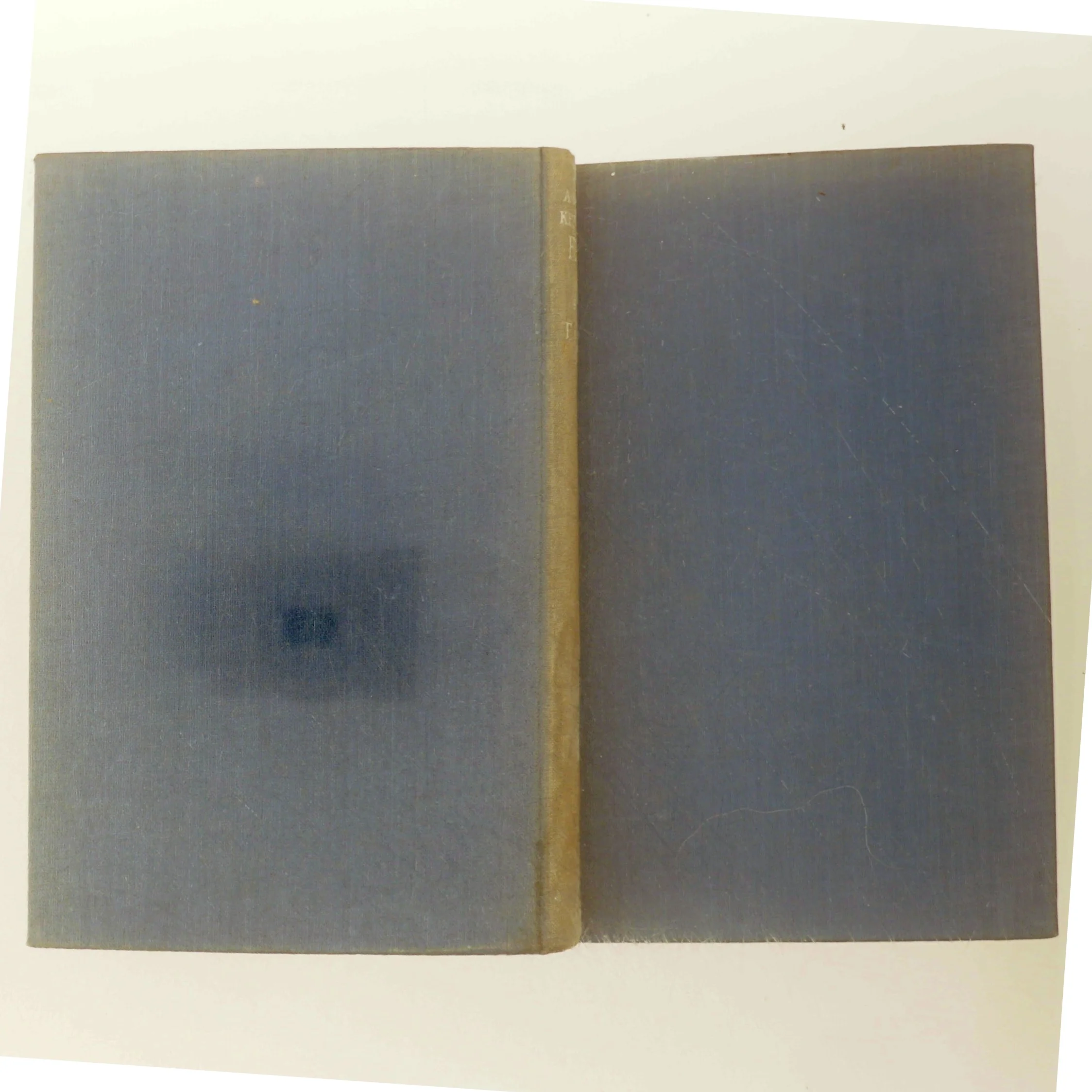 A Pretty Kettle of Fish