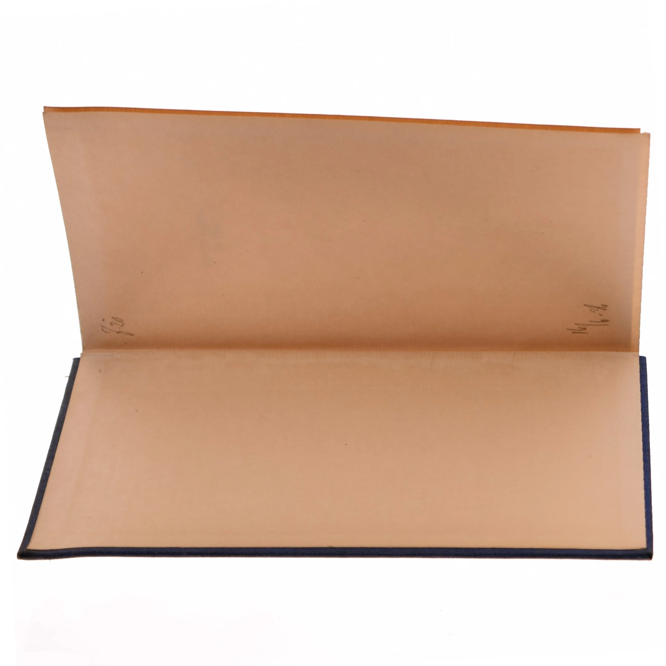 A Pretty Kettle of Fish