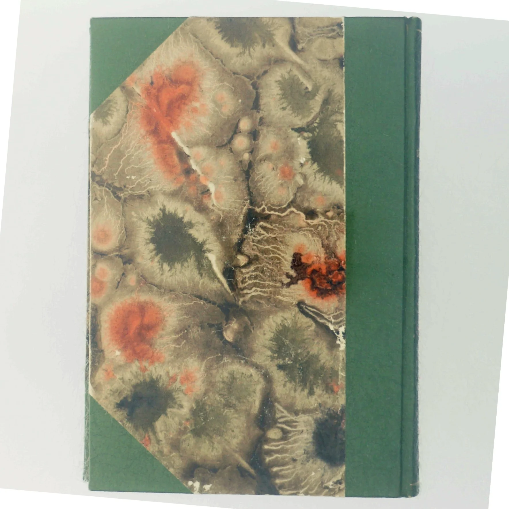 Den Snævre Vej af May Edgianton