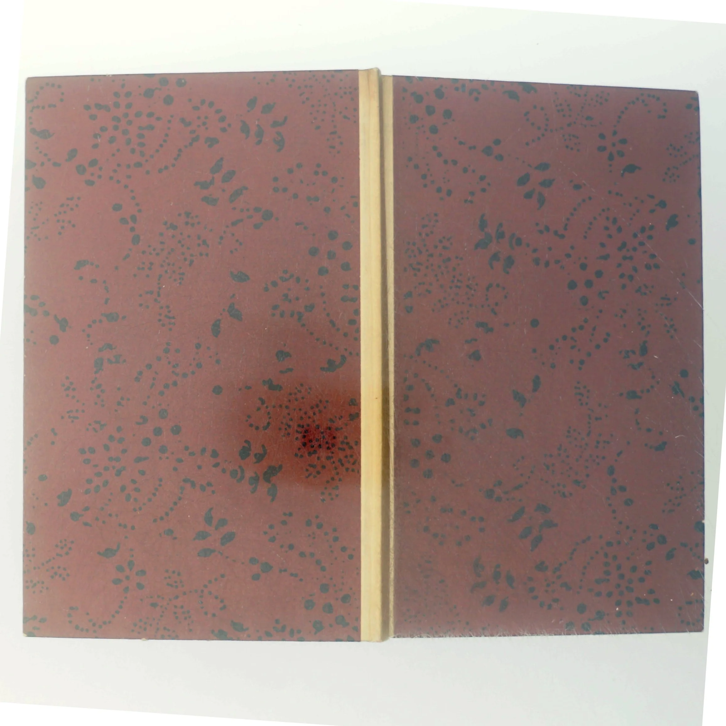 Spejlet af Edith Pio