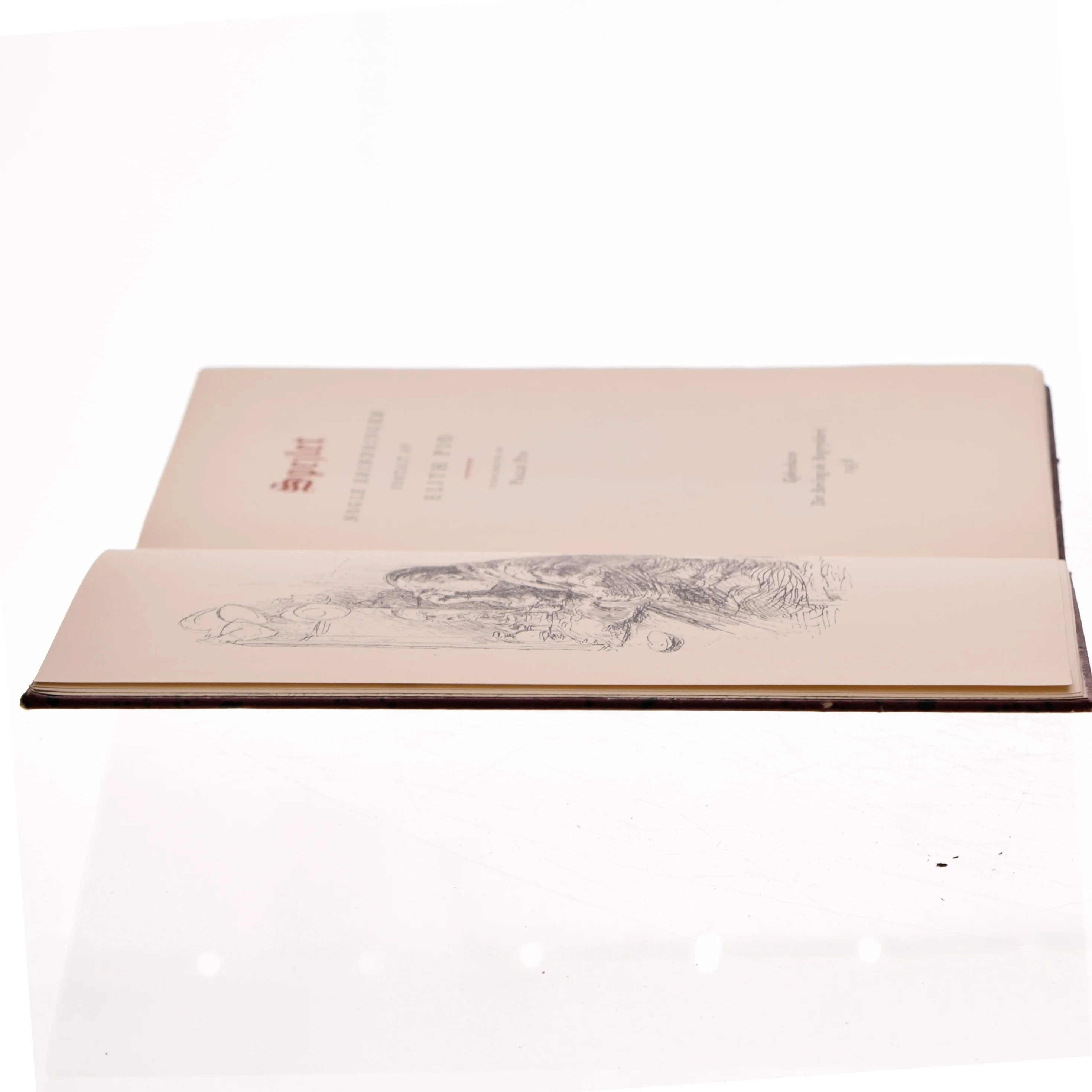 Spejlet af Edith Pio