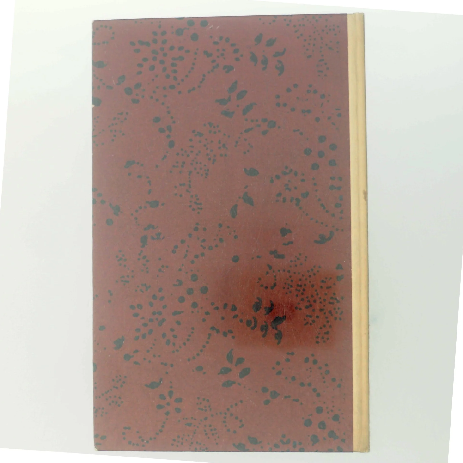 Spejlet af Edith Pio