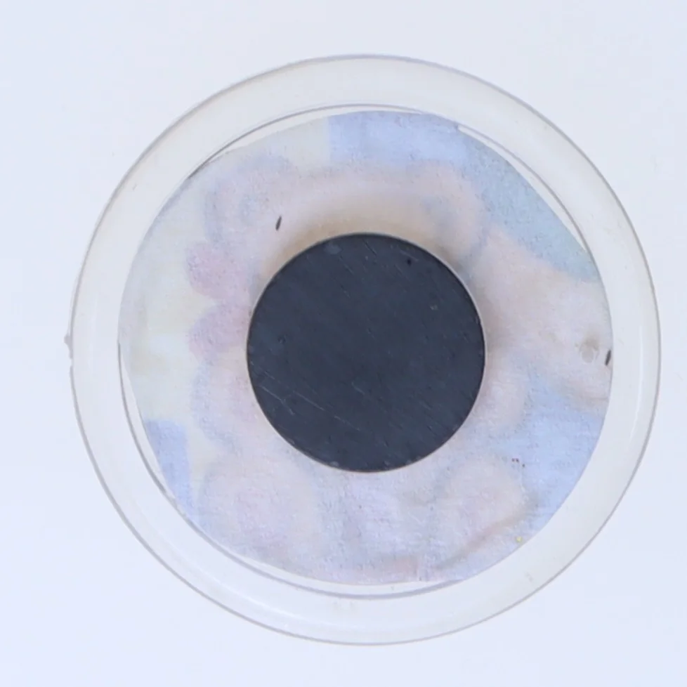 Rund magnet med nuttet bamse billede (str. Ø 5 cm)