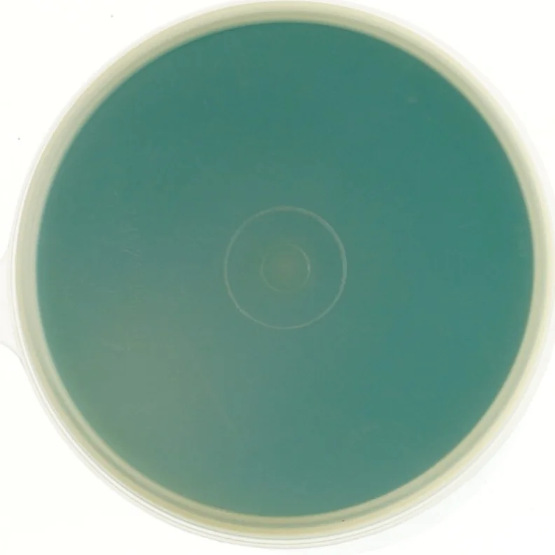 Plastbeholder med låg fra Tupperware (str. Ø 13x18 cm)