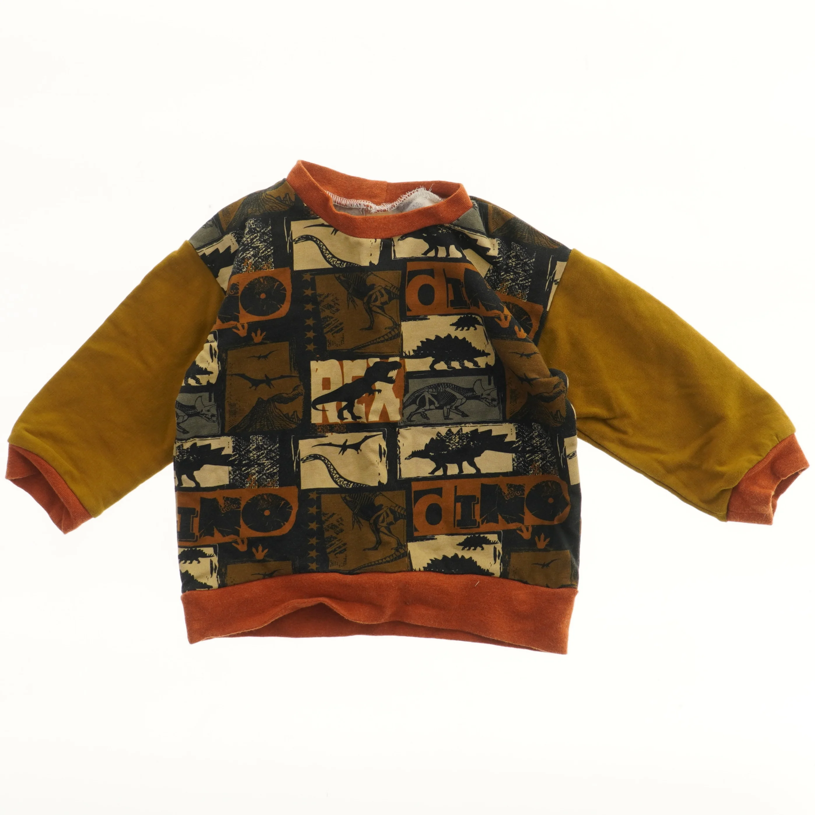 Børne sweatshirt med dinosaur print (str. 104)