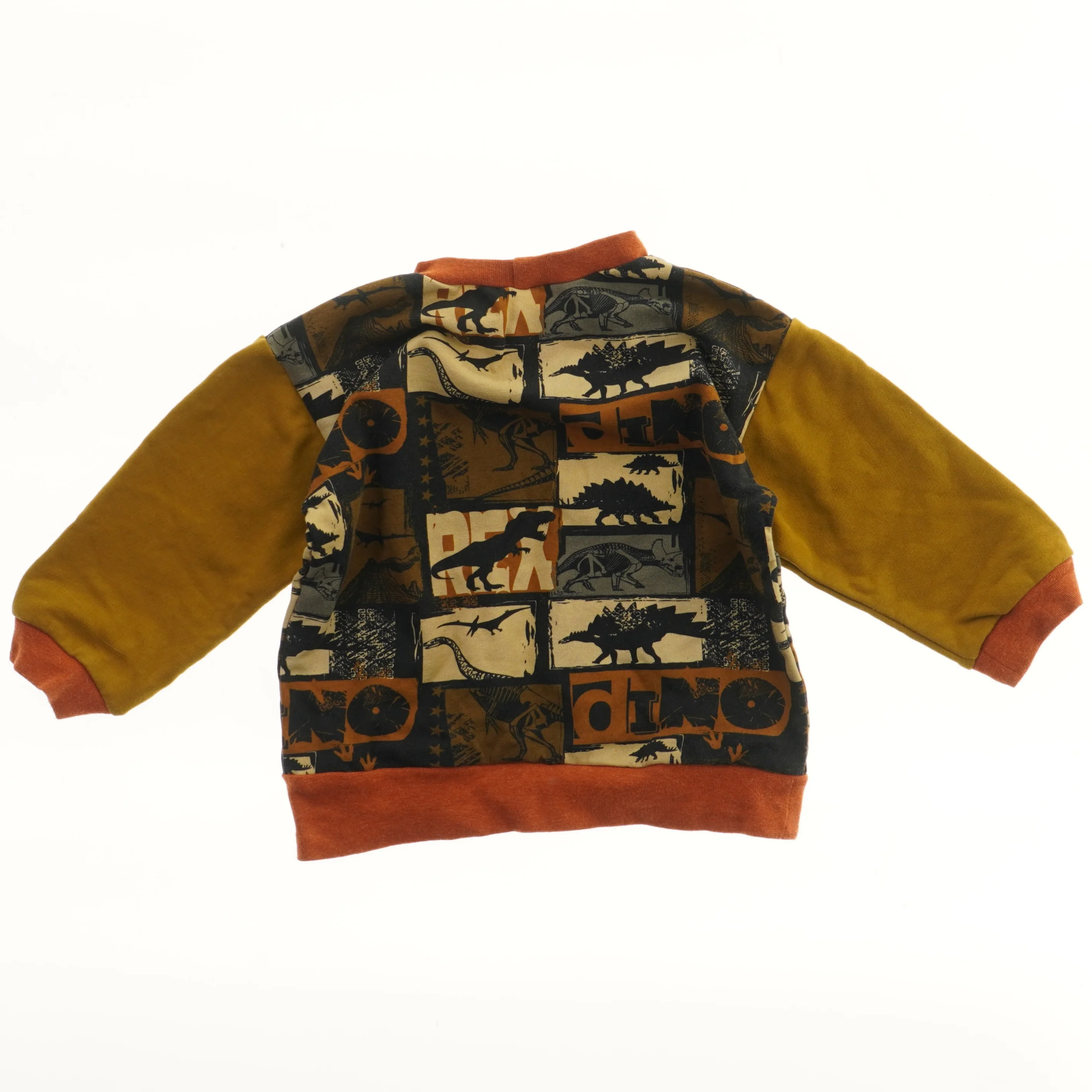 Børne sweatshirt med dinosaur print (str. 104)