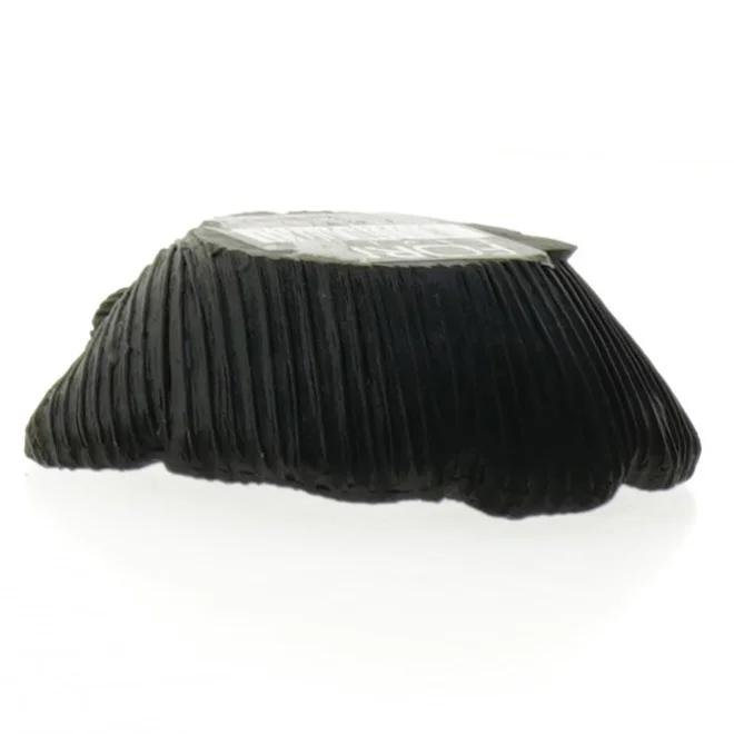 Sort muslingeskal dekoration fra Form living (str. 12 x 11 cm)