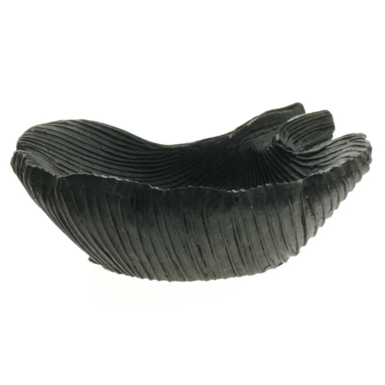 Sort muslingeskal dekoration fra Form living (str. 12 x 11 cm)