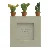 Cactus fotoramme (str. 8x8 cm)