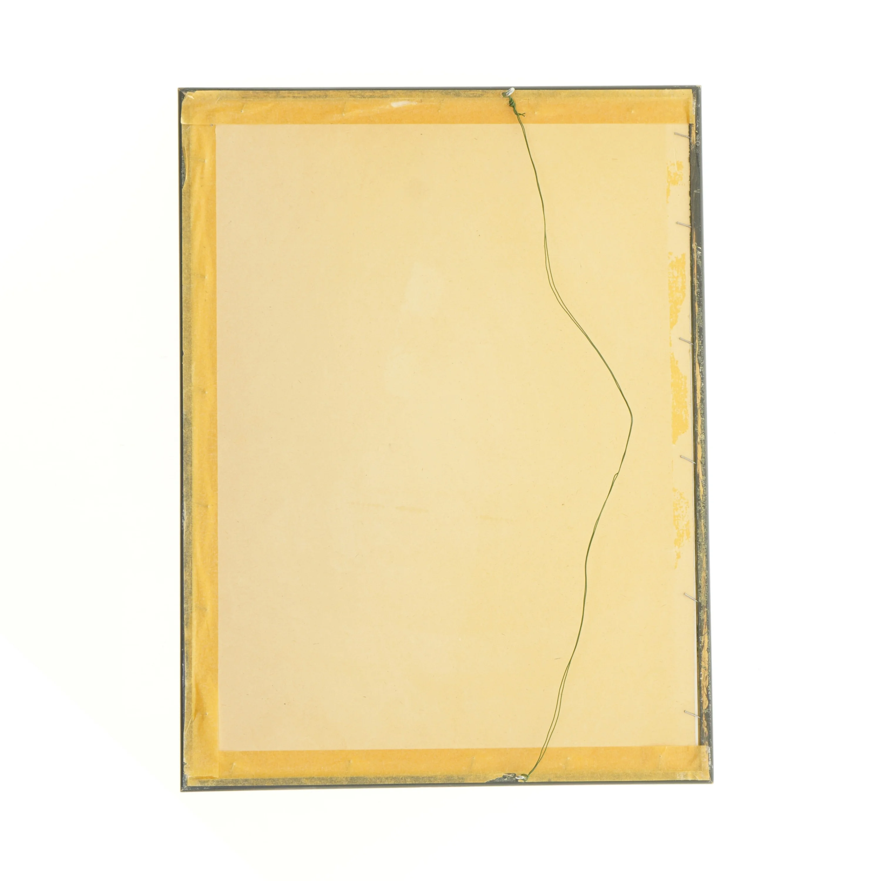 Indrammet botanisk plakat (str. 40 x 30,5 cm)