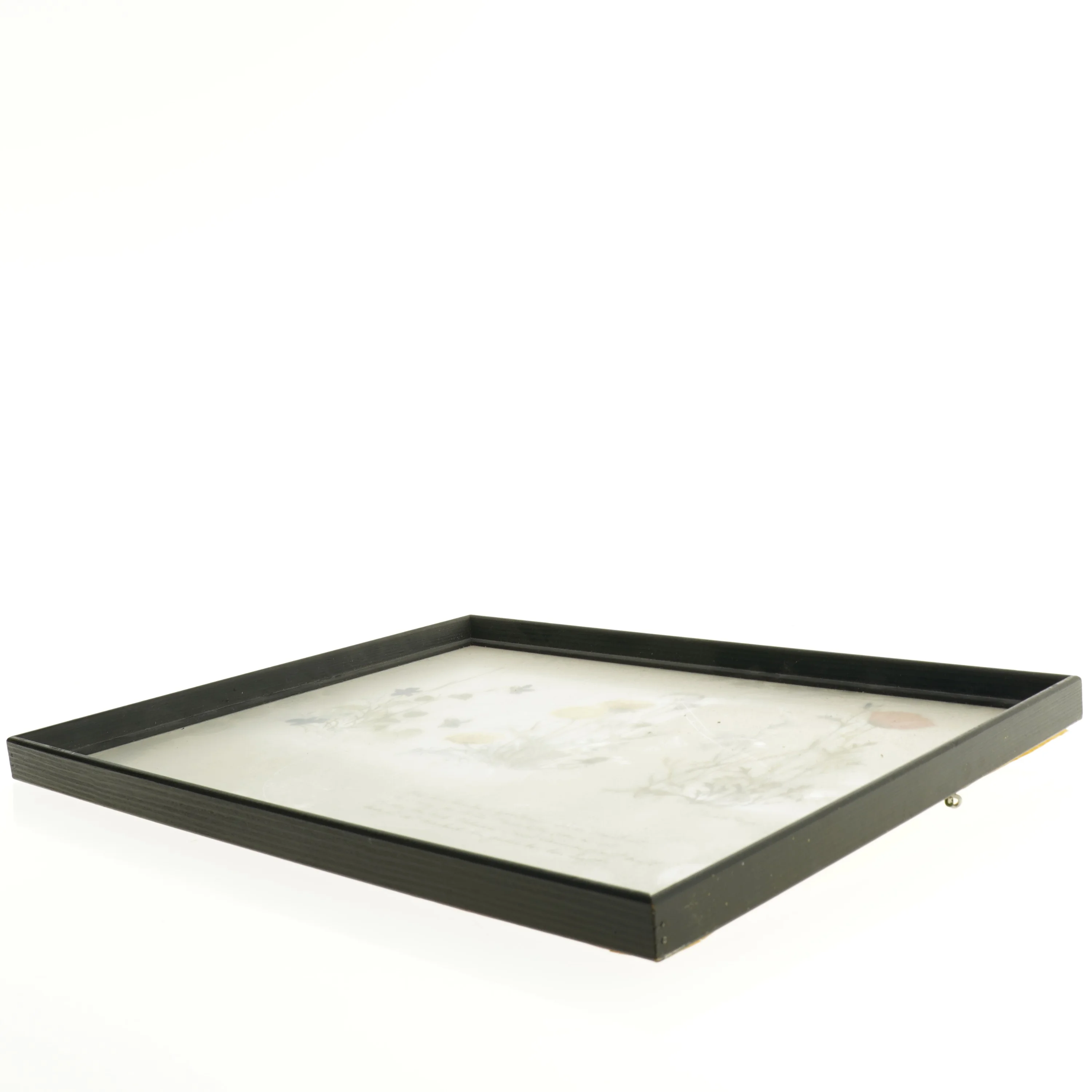 Indrammet botanisk plakat (str. 40 x 30,5 cm)