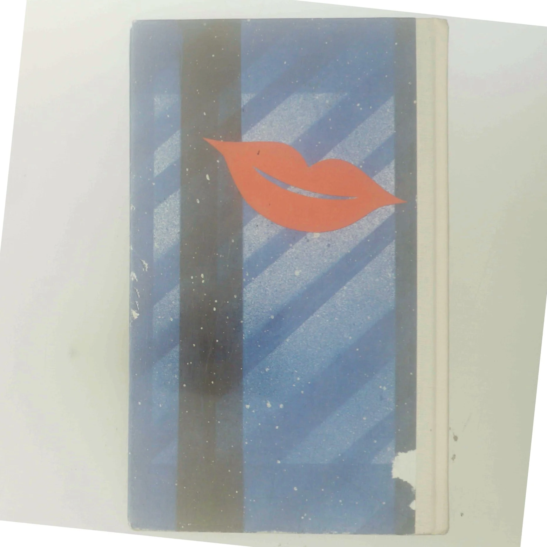 Præsidentens Barn af Fay Weldon (Bog)