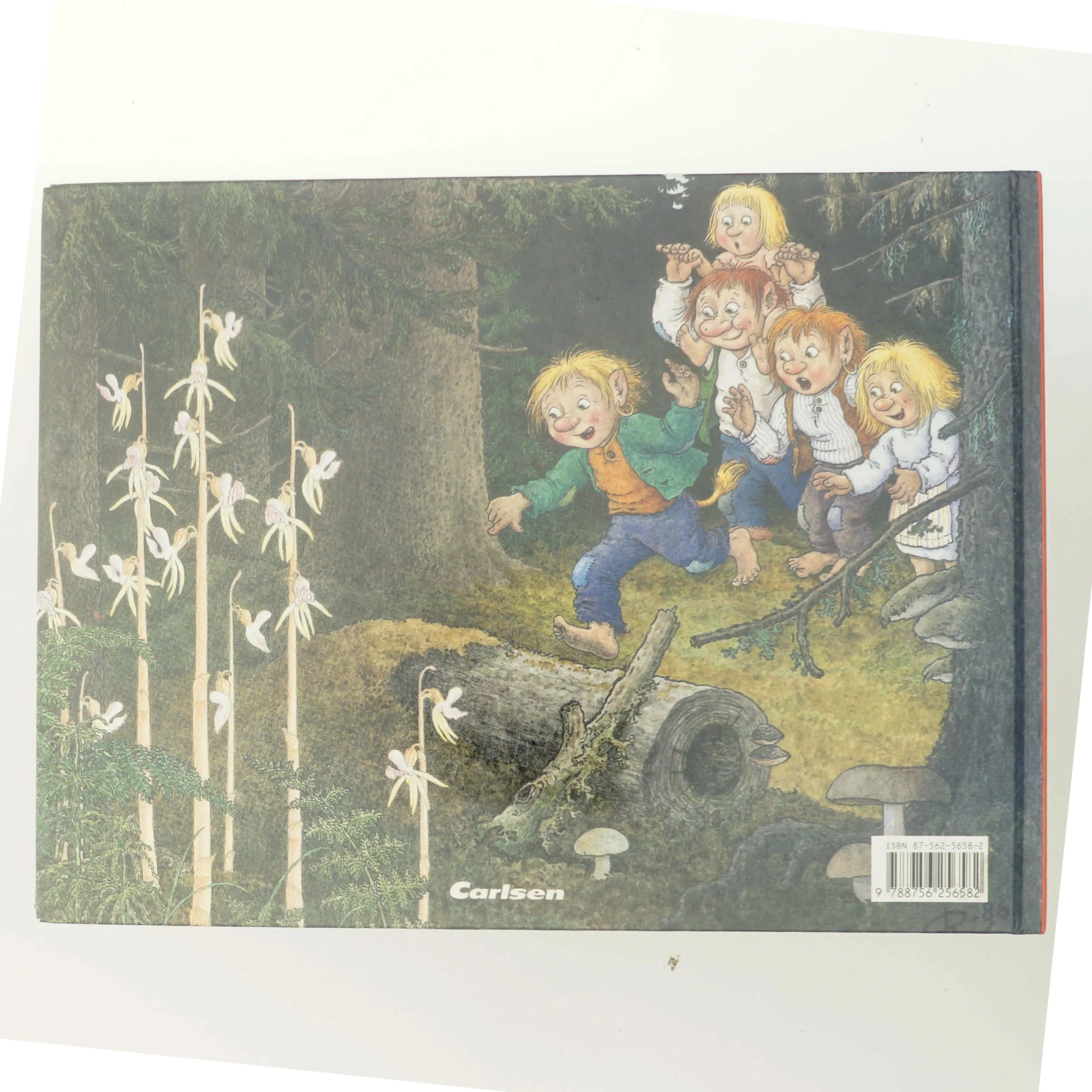 Et troldebryllup af Erik Arpi (Bog)