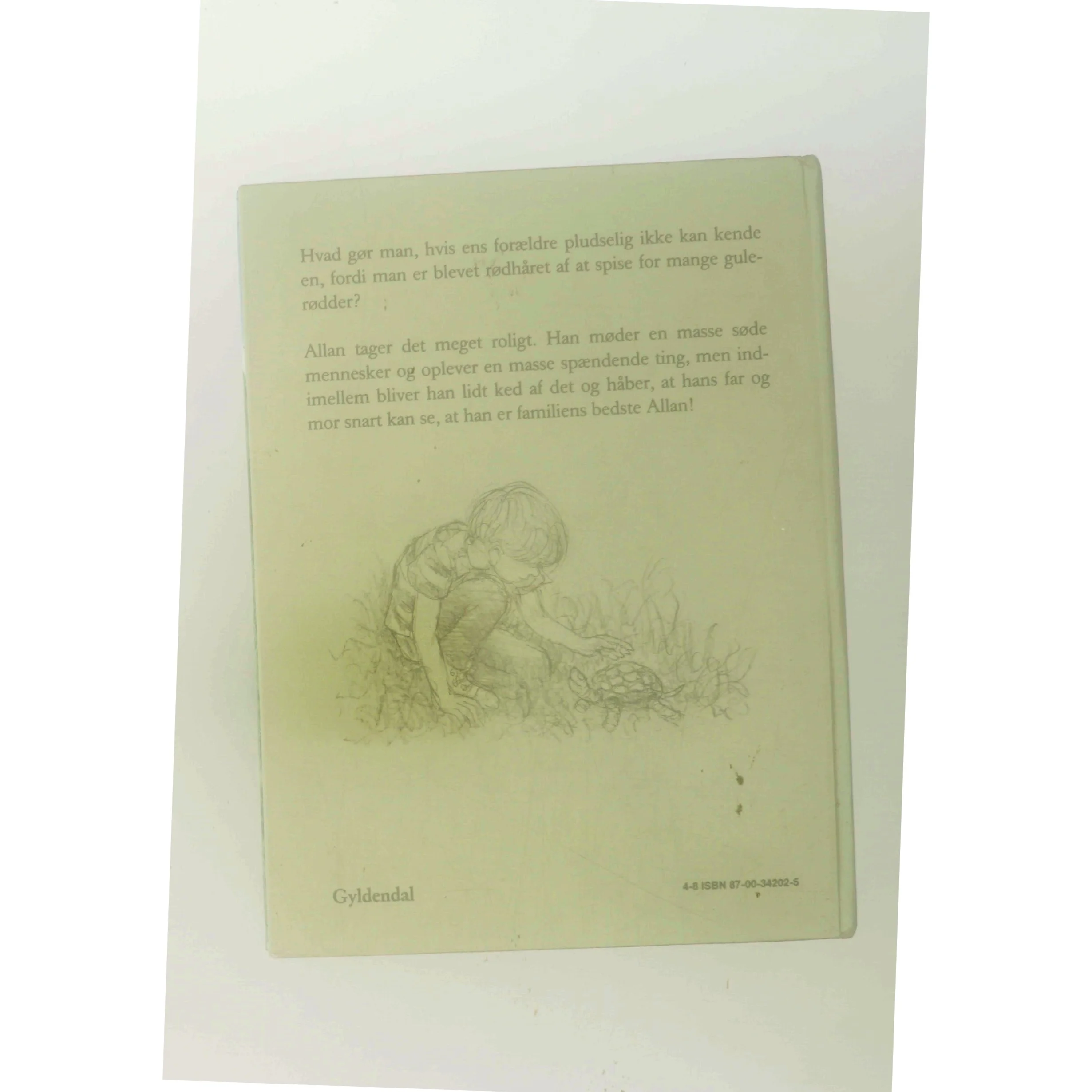 Allan alene af Ib Spang Olsen (Bog)