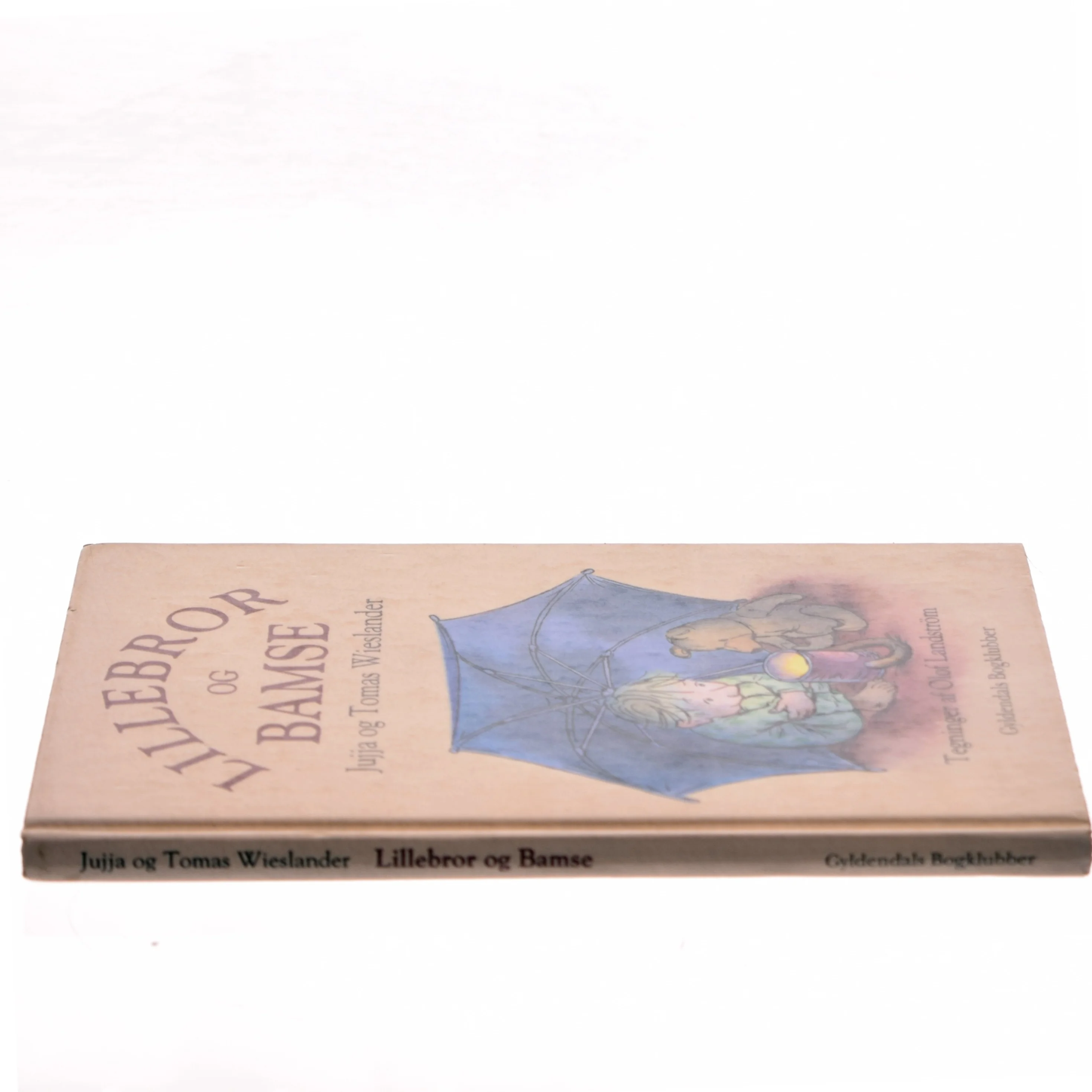 Lillebror og Bamse (Bog)