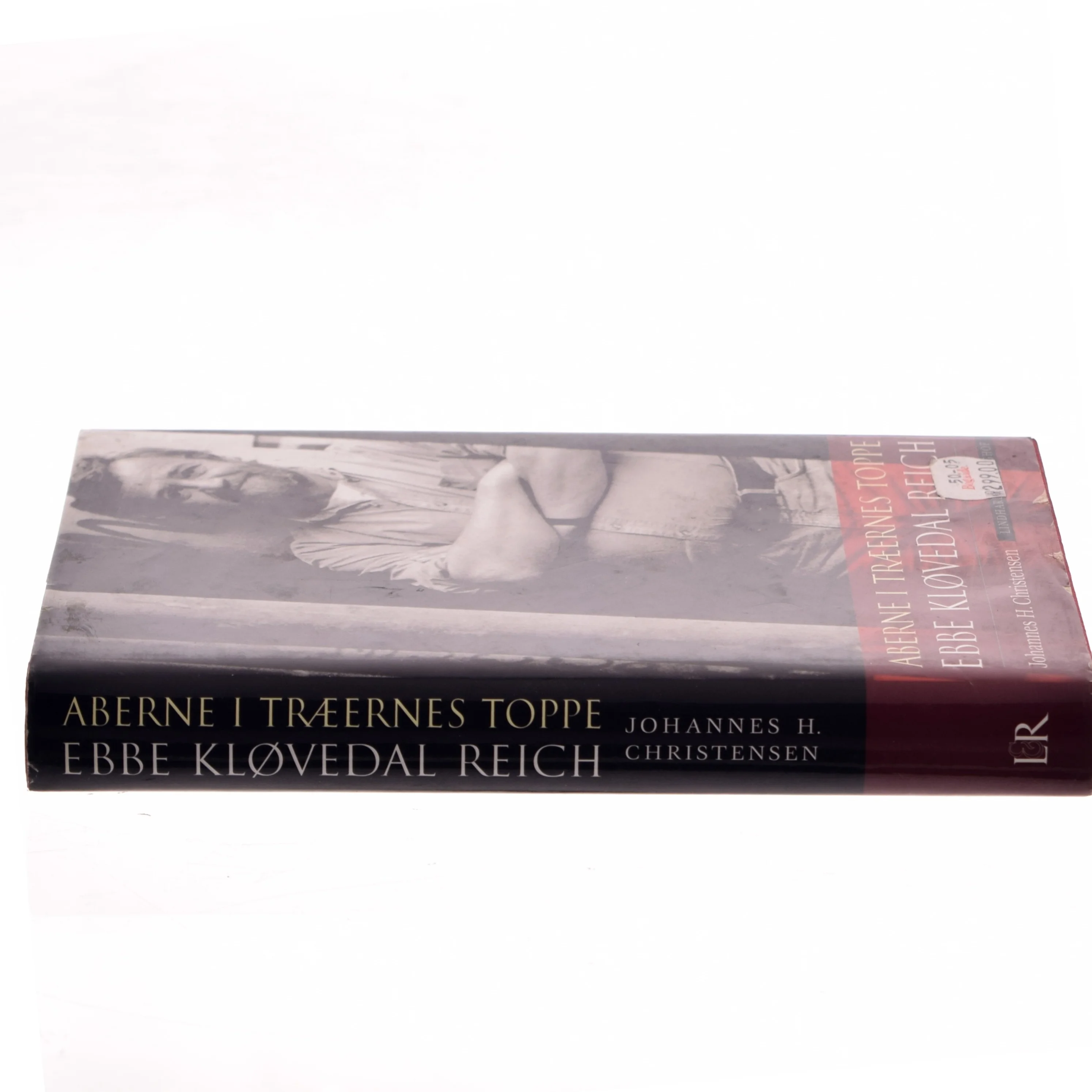 Aberne i træernes toppe : samtaler med Ebbe Kløvedal Reich (Bog)