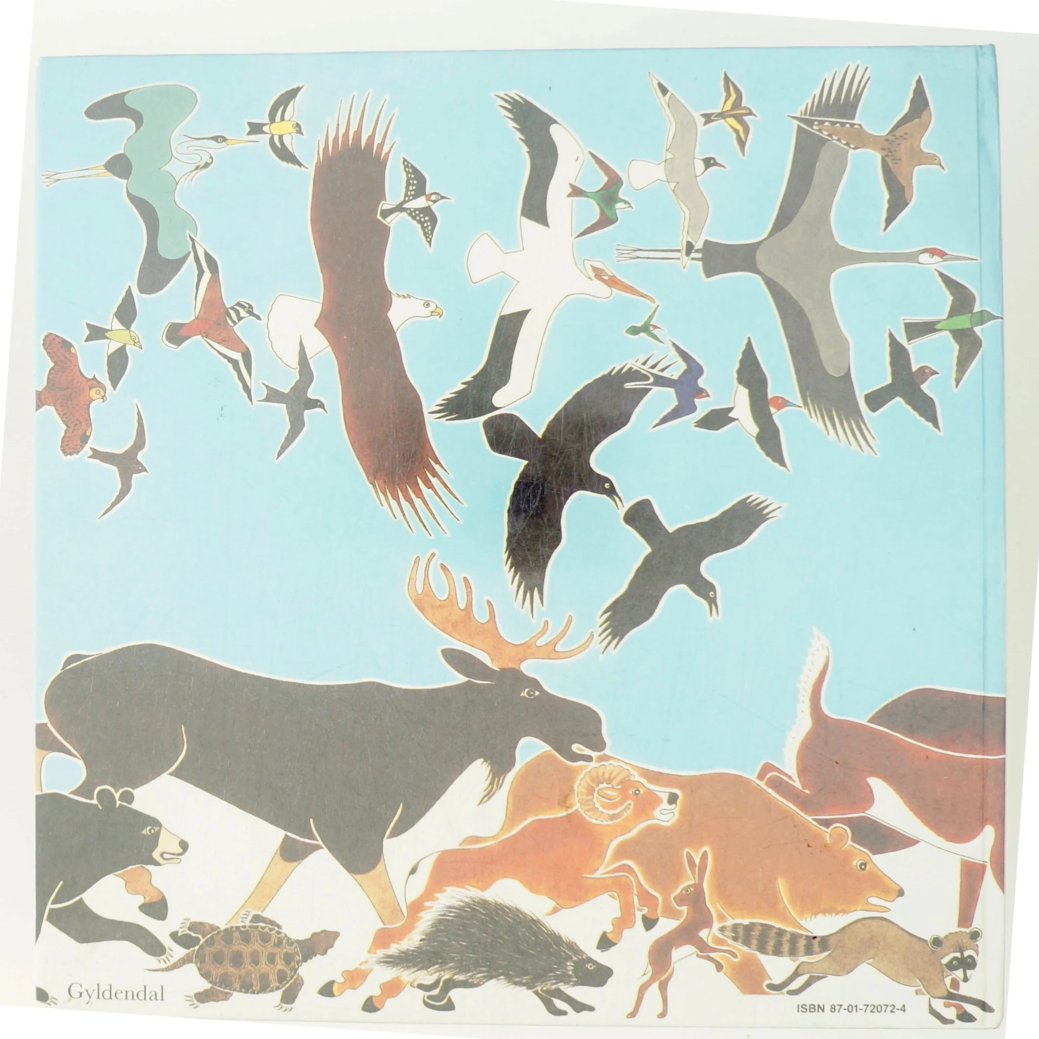 Det store væddeløb af Paul Goble (Bog)