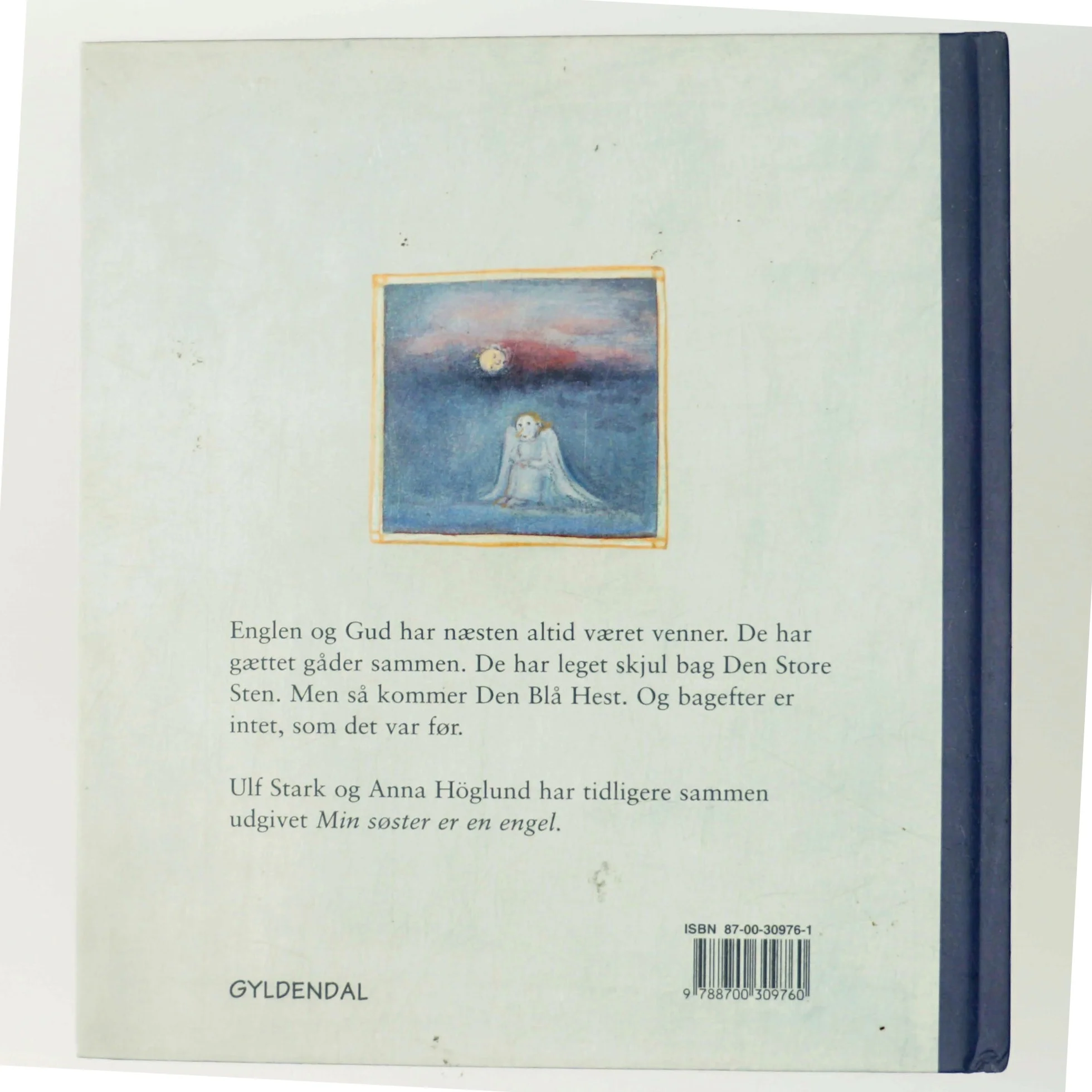 Englen og Den Blå Hest (Bog)