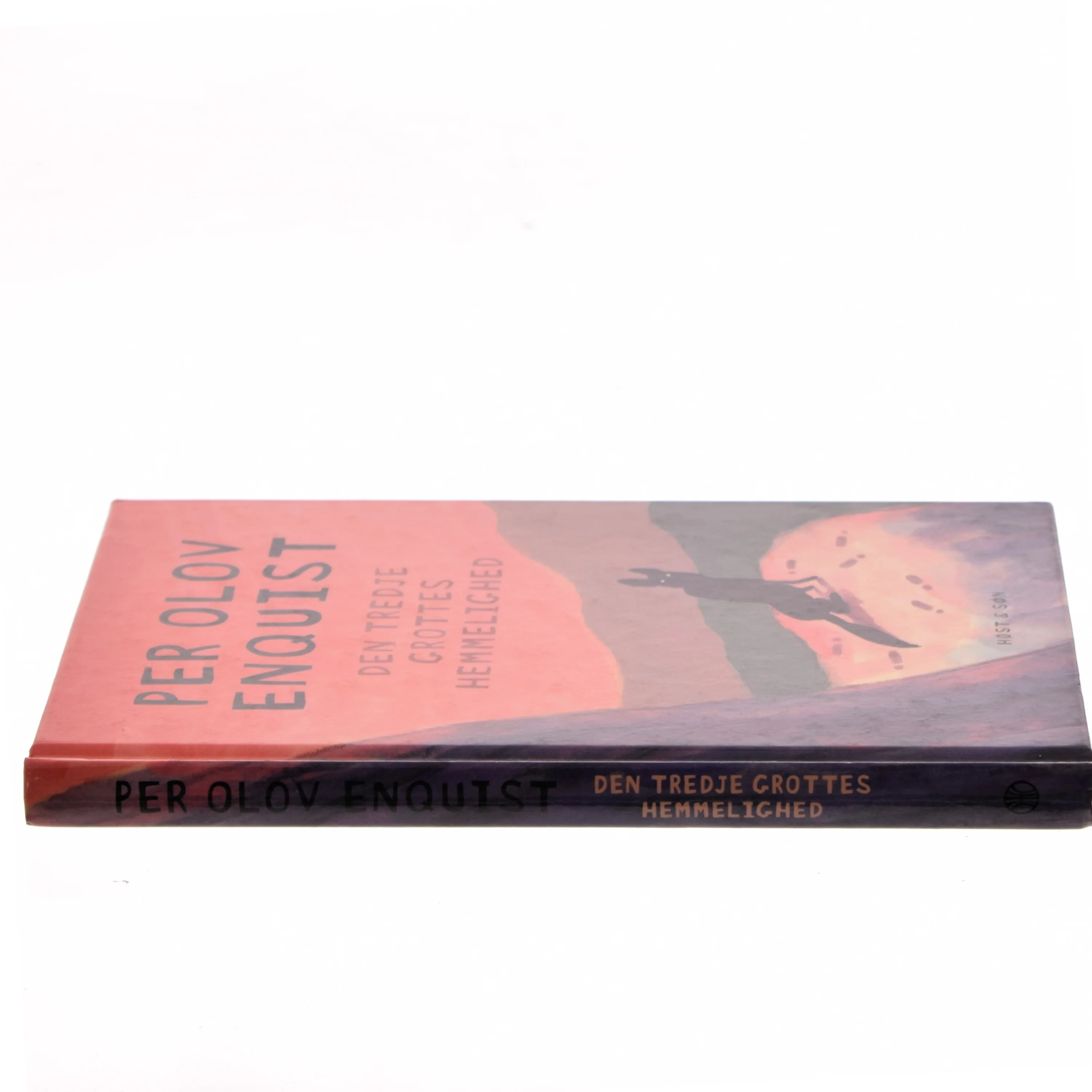 Den tredje grottes hemmelighed af Per Olov Enquist (Bog)
