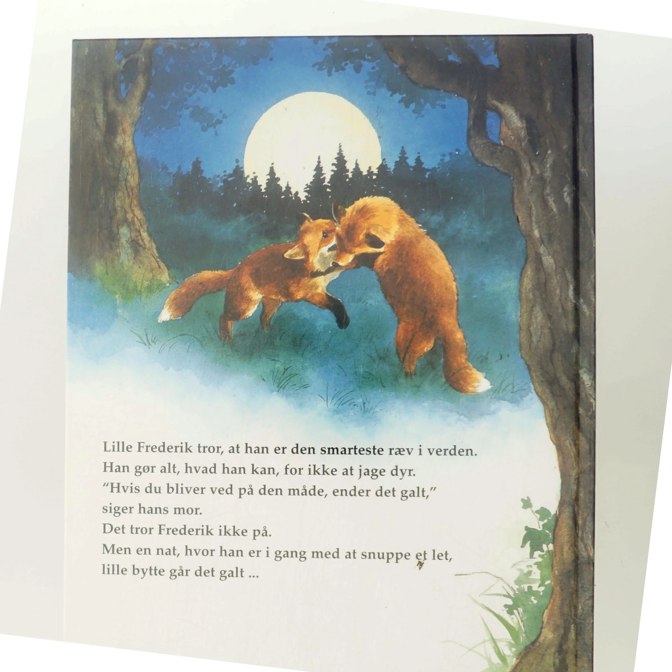 Smarte, Lille Frederik af Christine Leeson (Bog)