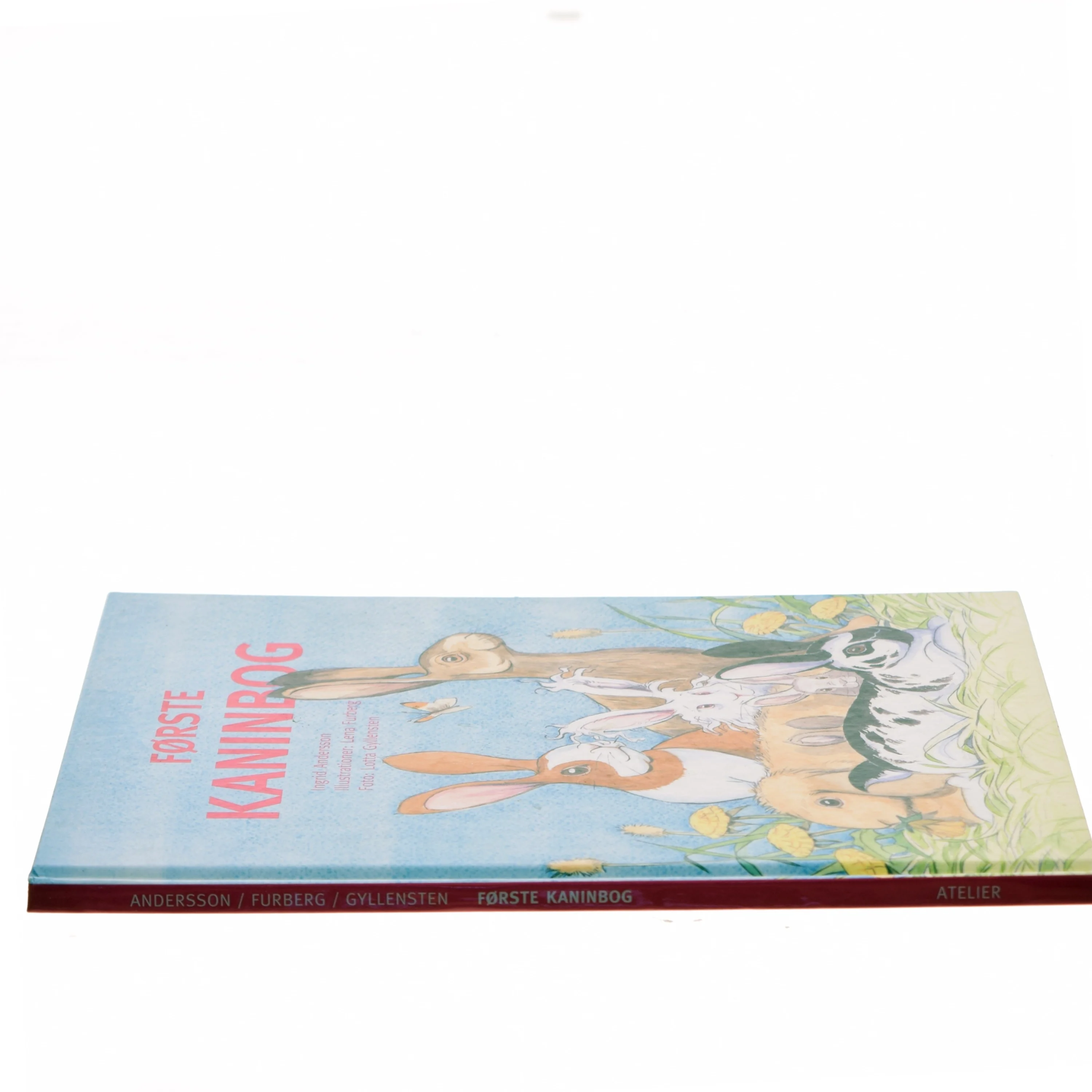 Første kaninbog af Ingrid Andersson (Bog)