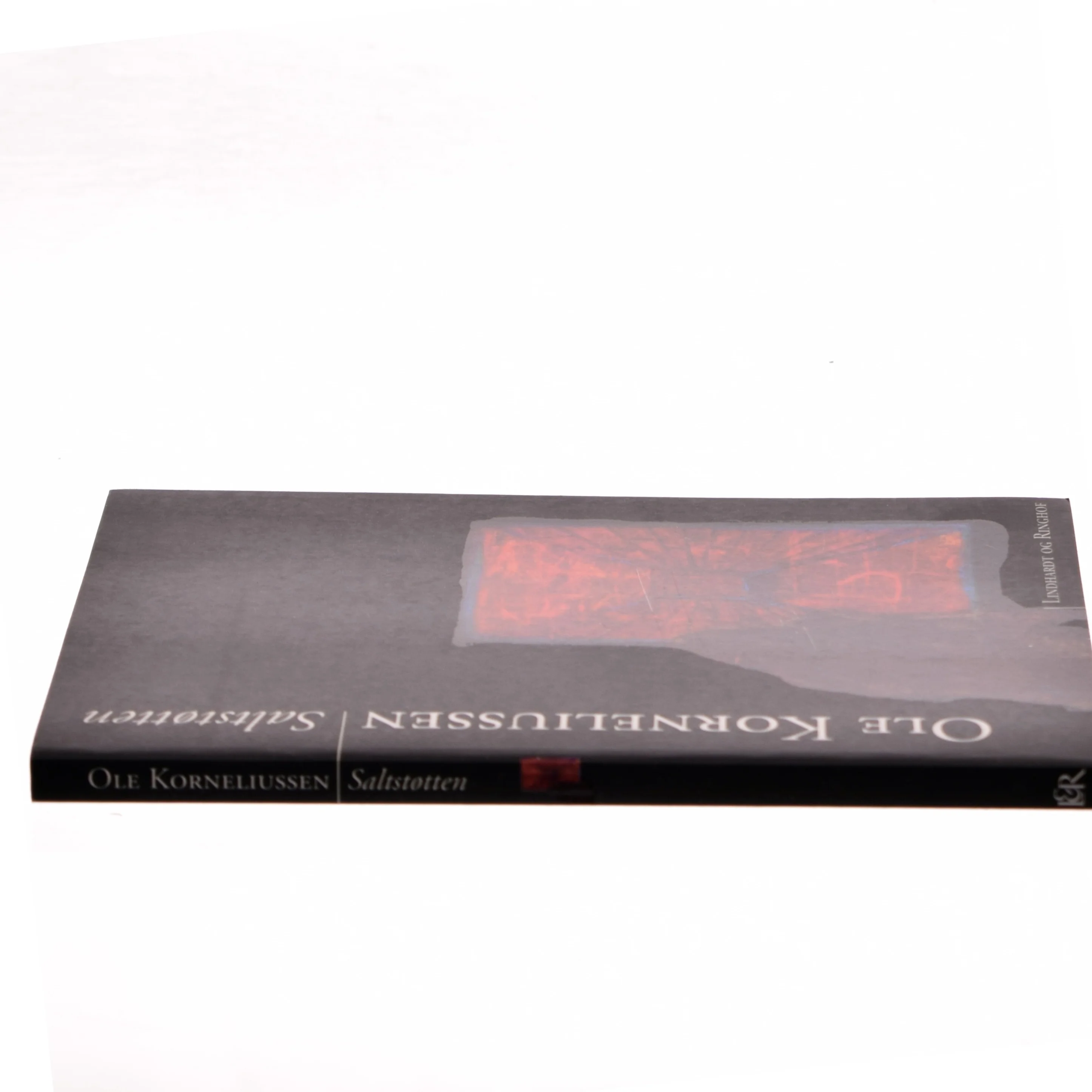 Saltstøtten : roman af Ole Korneliussen (Bog)