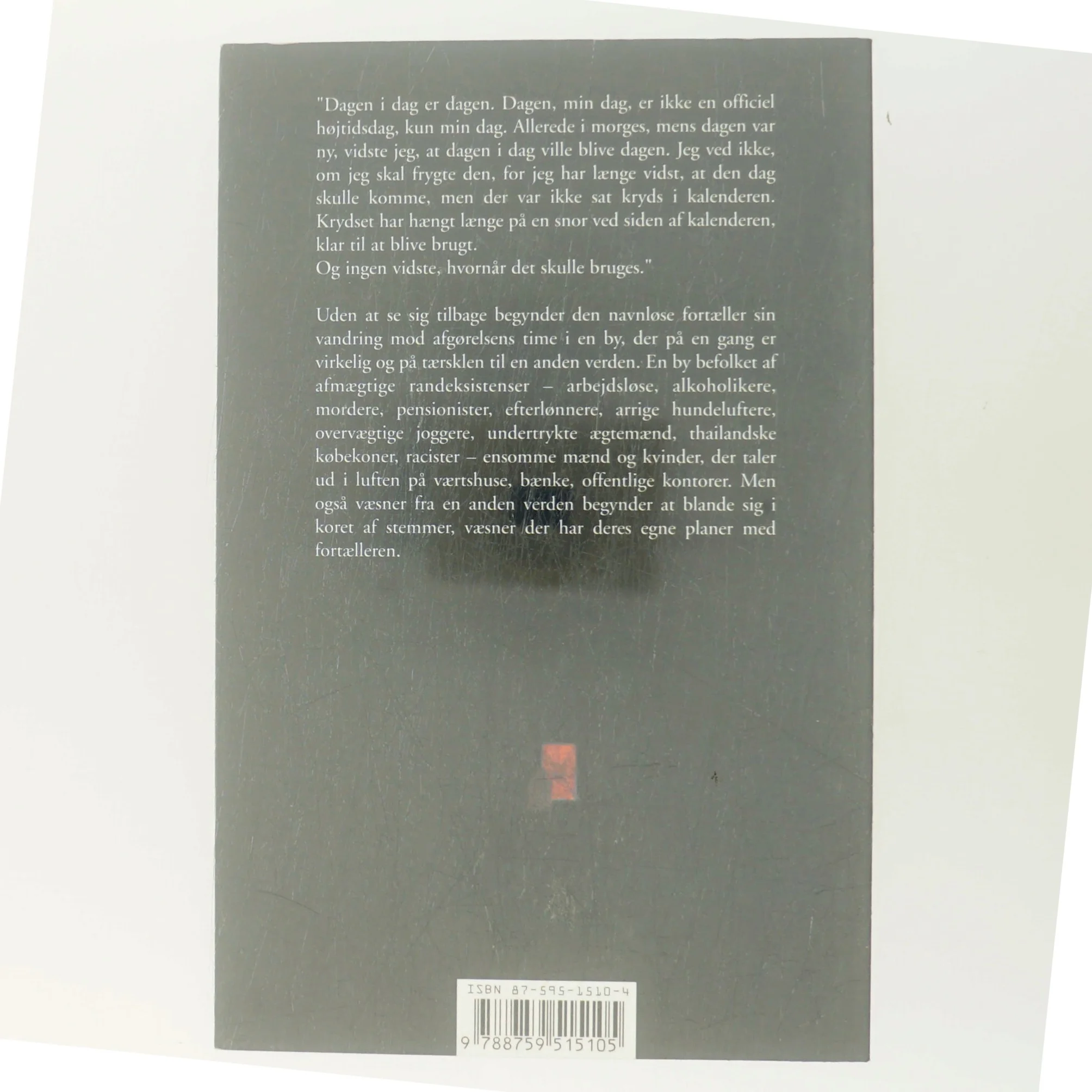 Saltstøtten : roman af Ole Korneliussen (Bog)