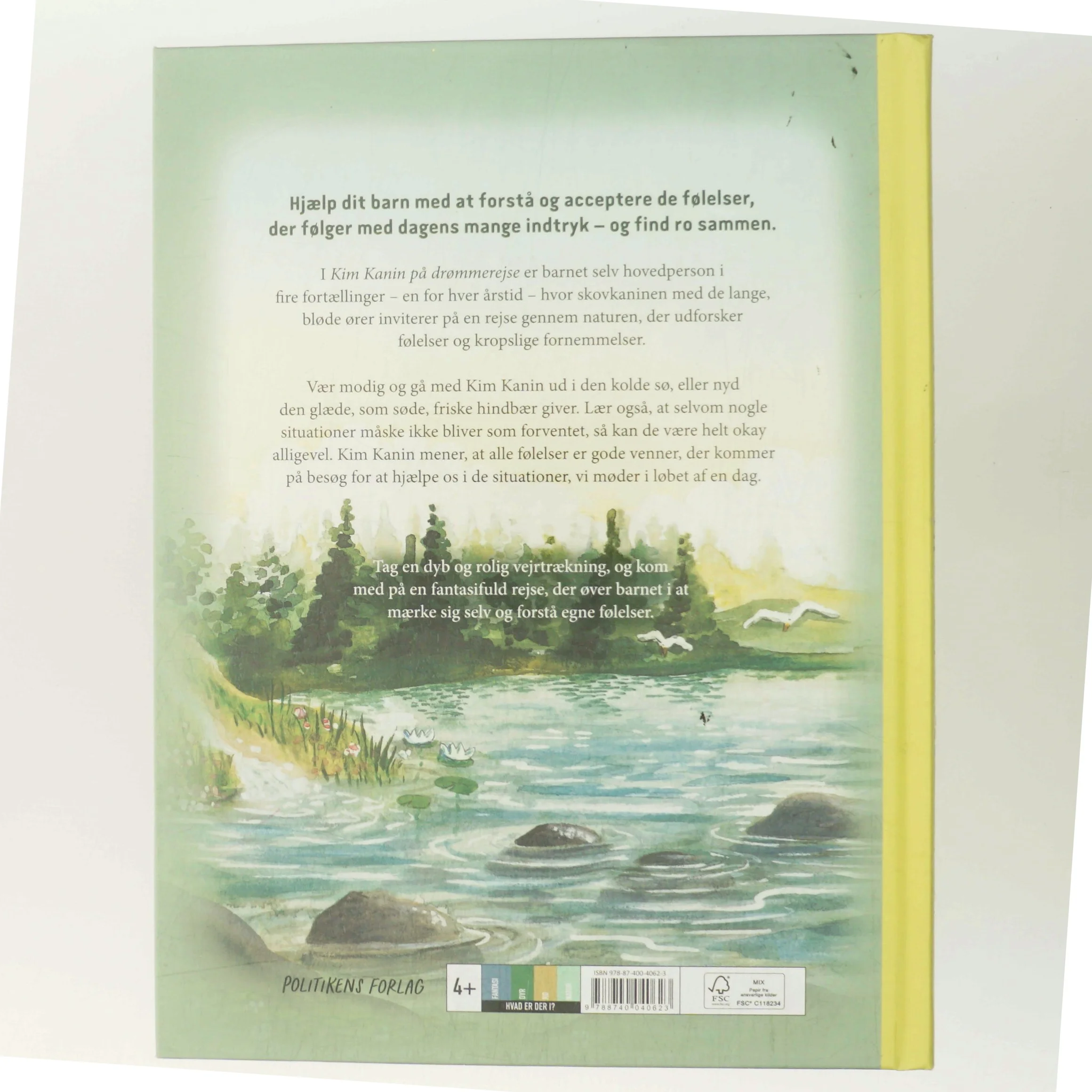 Kim Kanin på drømmerejse (Bog)