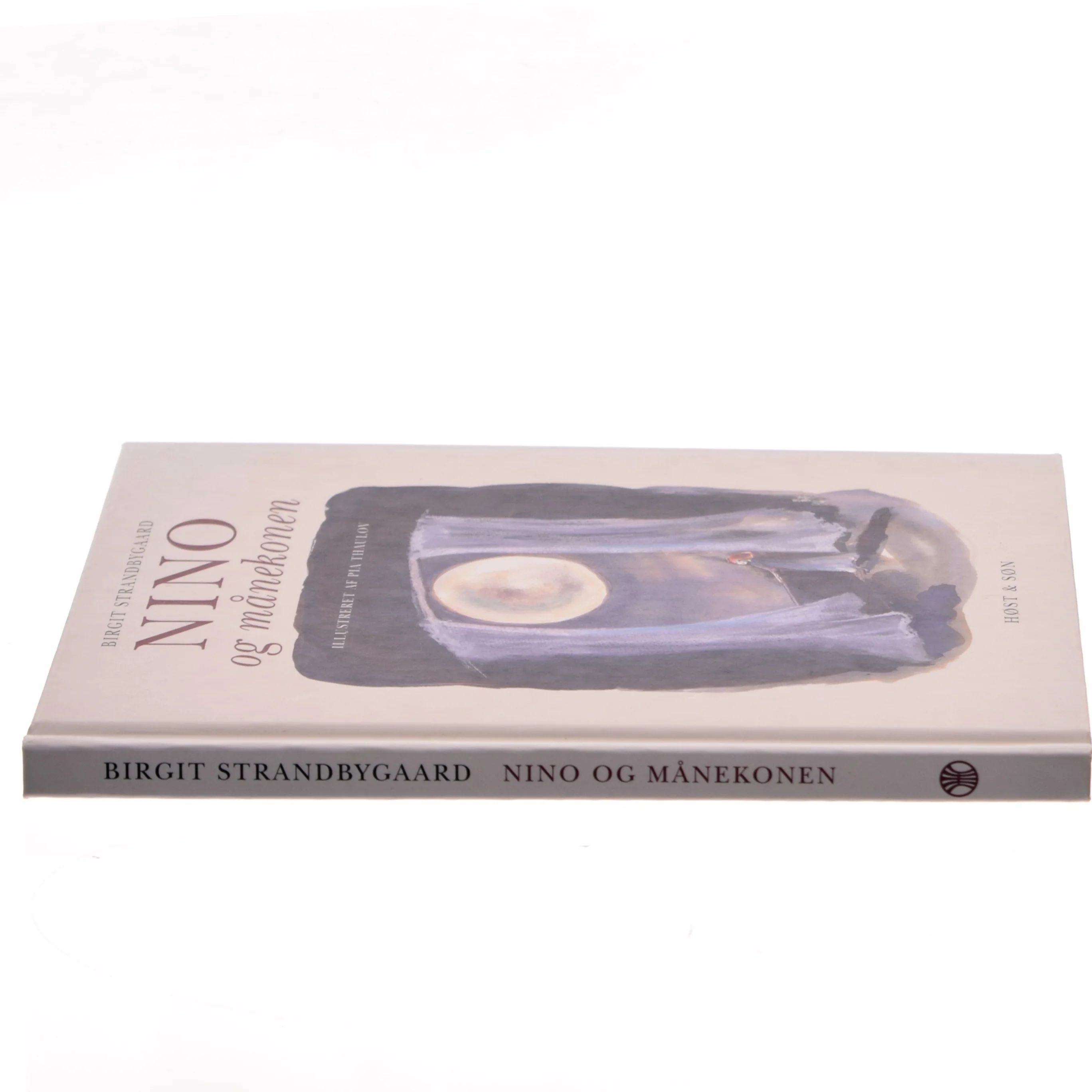 Nino og månekonen af Birgit Strandbygaard (Bog)