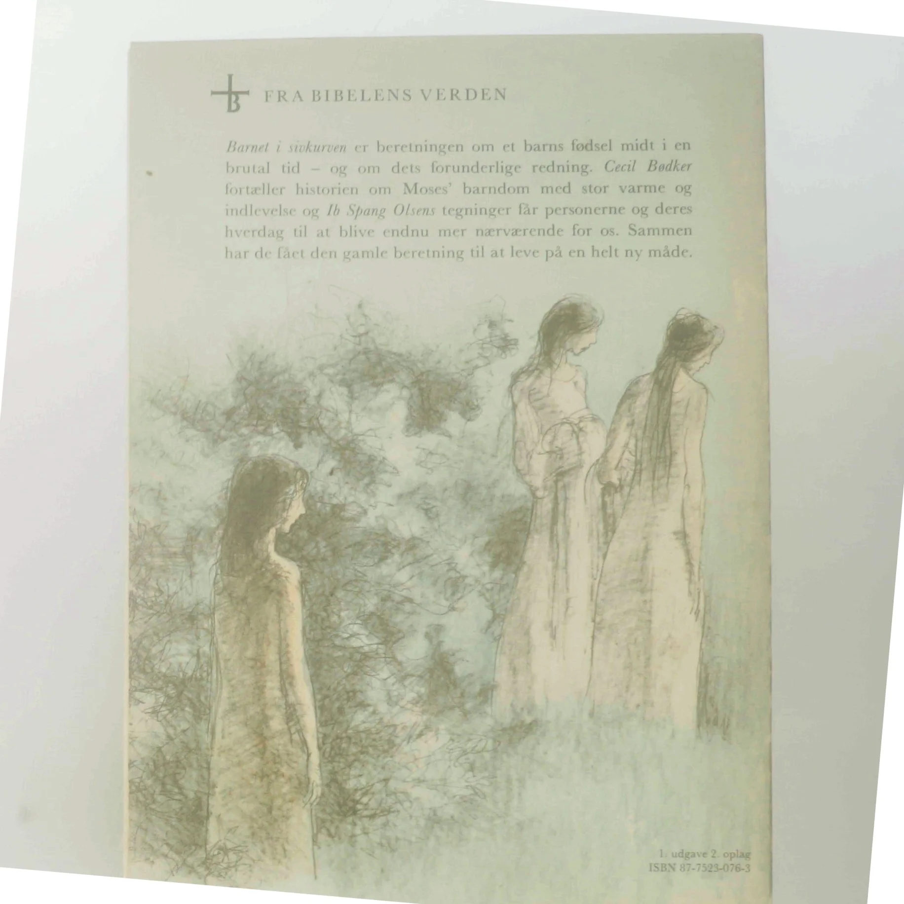 Barnet i sivkurven af Cecil Bødker (Bog)