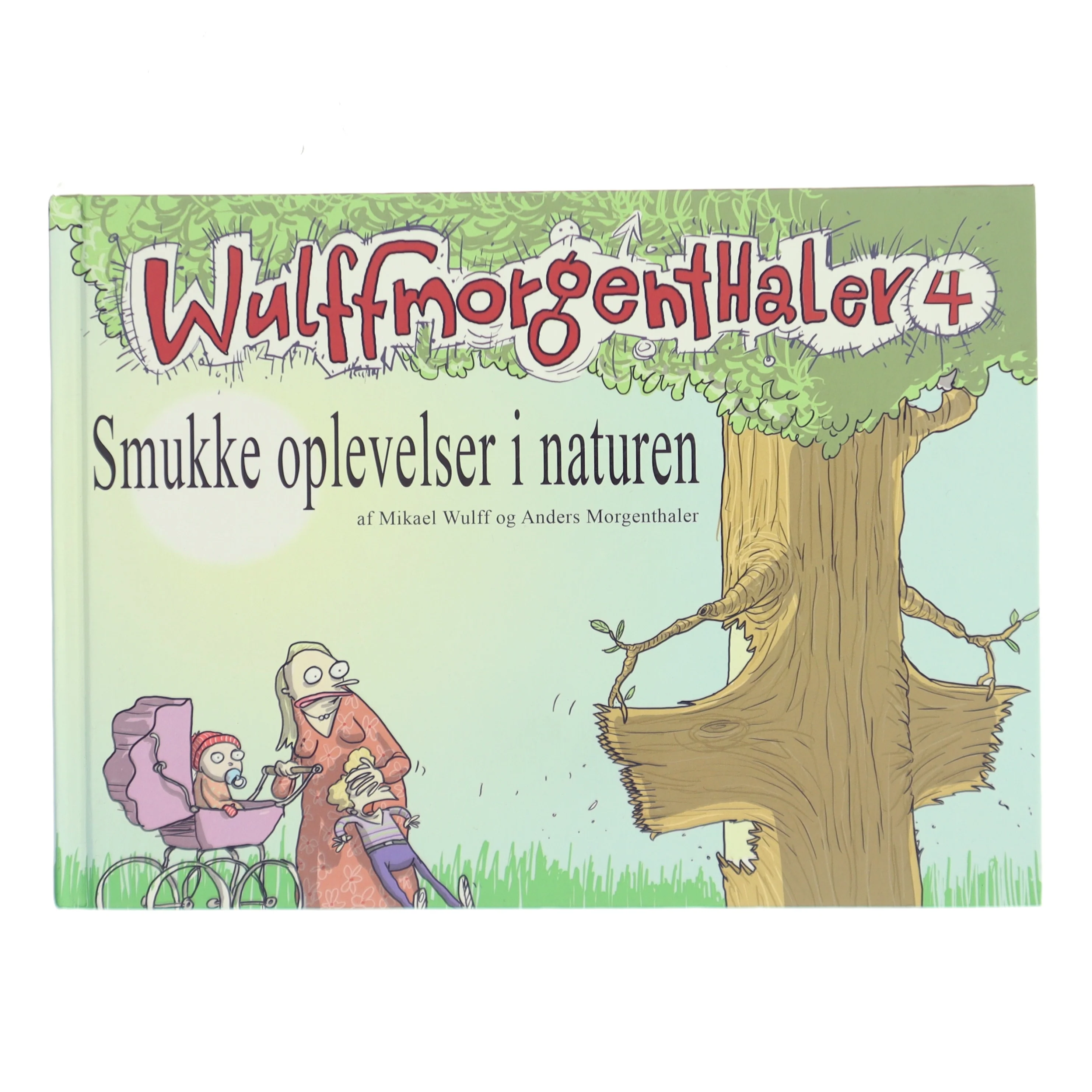 Smukke oplevelser i naturen (Bog)