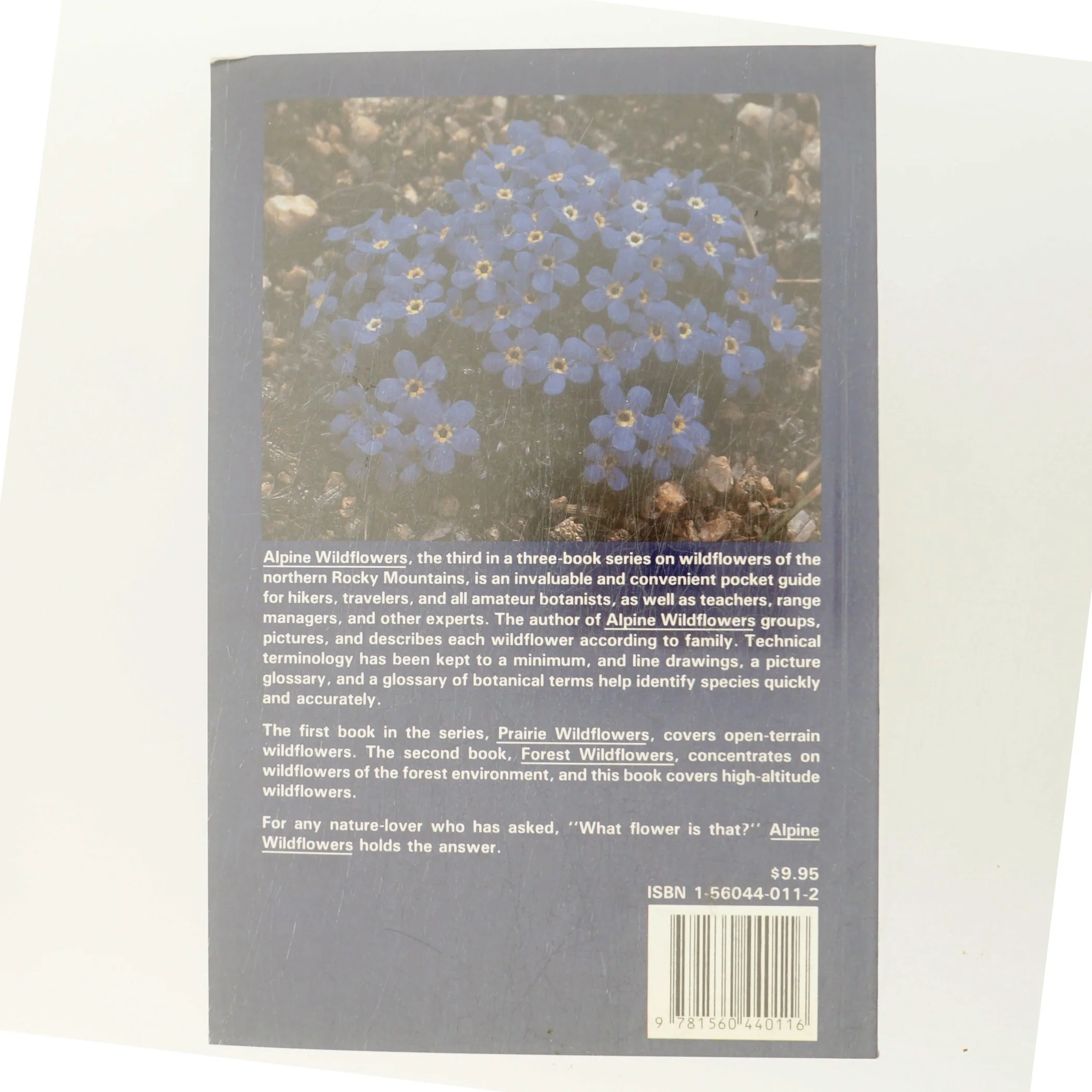 Alpine Wildflowers af Dr. Dee Strickler (Bog)