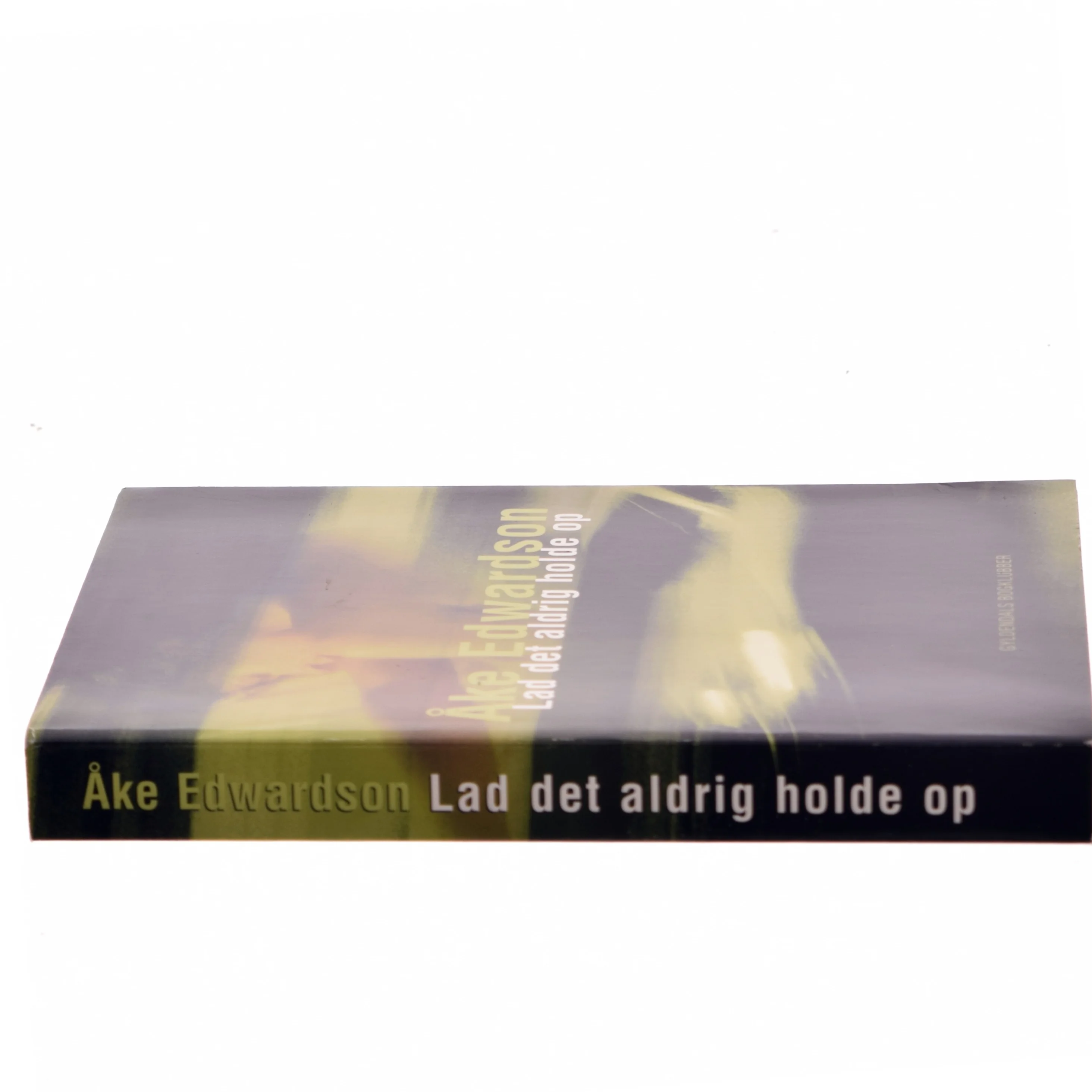 Lad det aldrig holde op af Åke Edwardson (Bog)