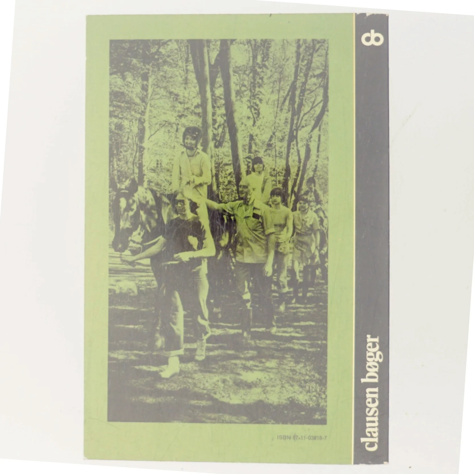 Ridning for handicappede af Ulla Harpøth (Bog)