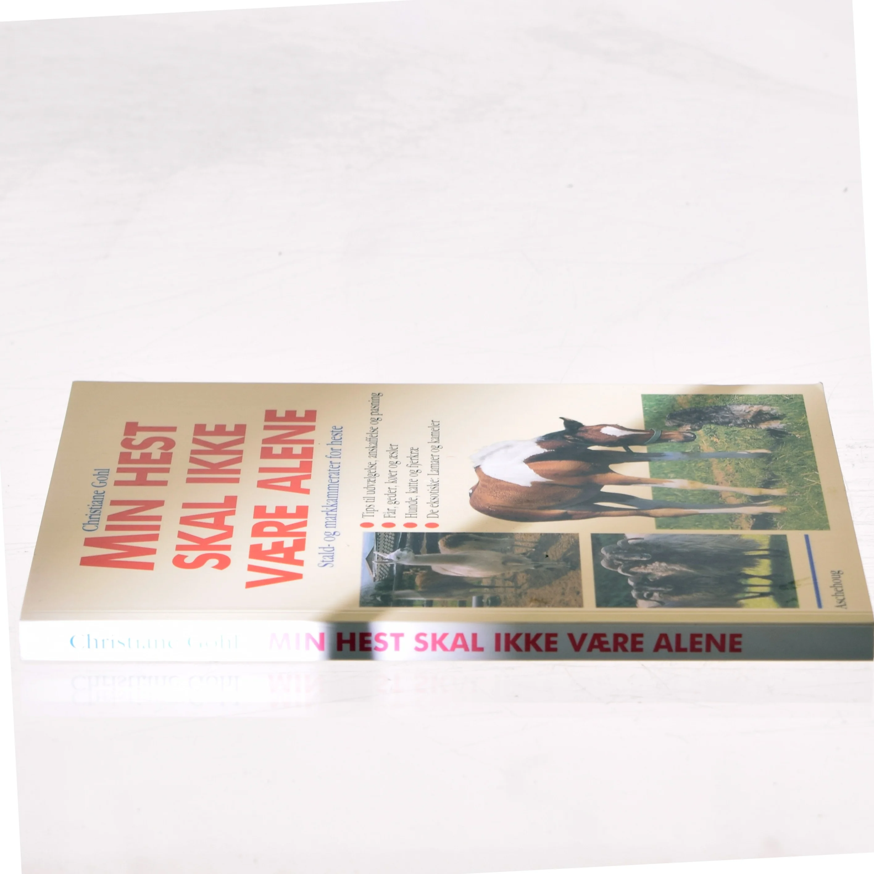 Min hest skal ikke være alene af Christiane Gohl (Bog)